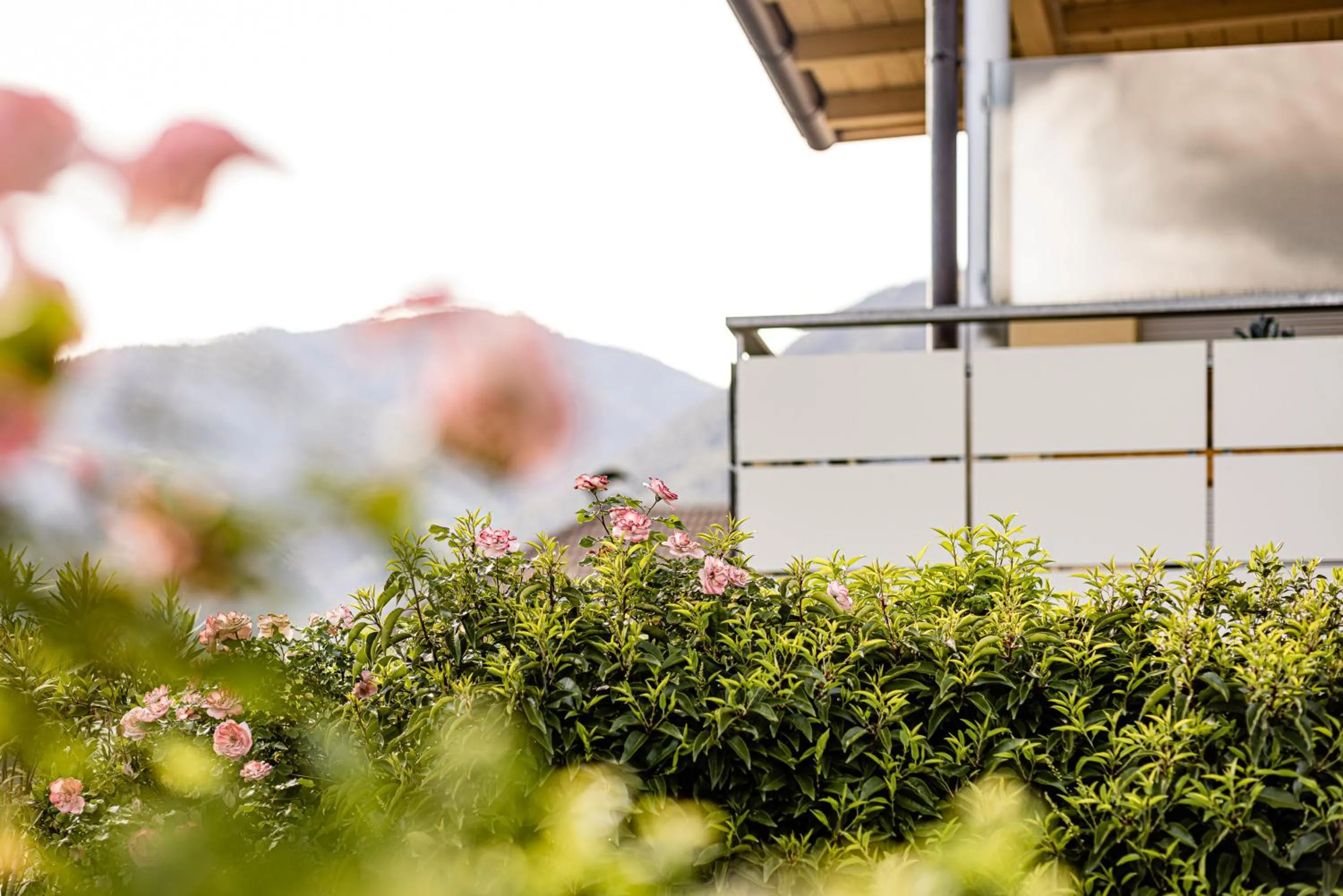 Balcony/Terrace in Garden Residence