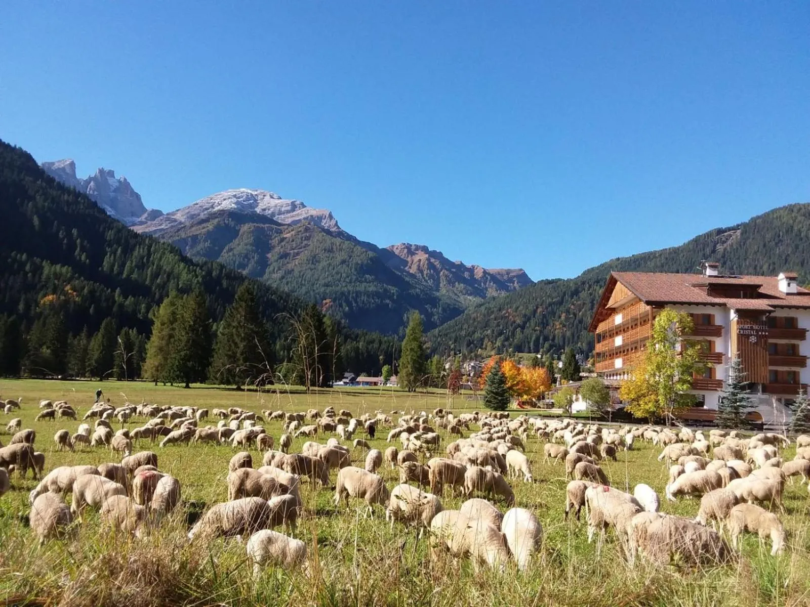 Property building in Sport Hotel Cristal