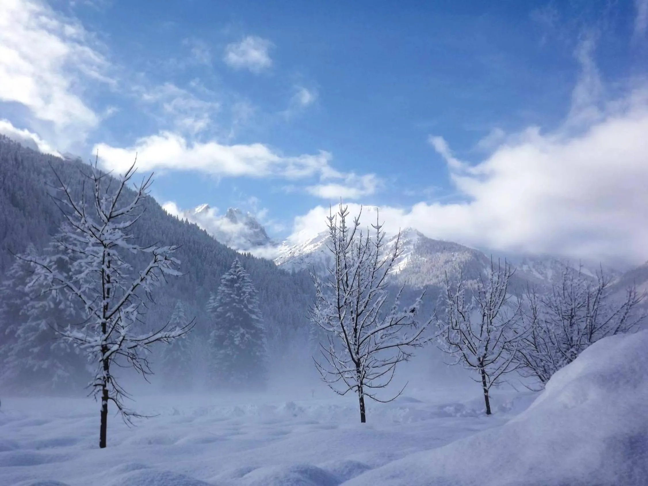 Garden in Sport Hotel Cristal