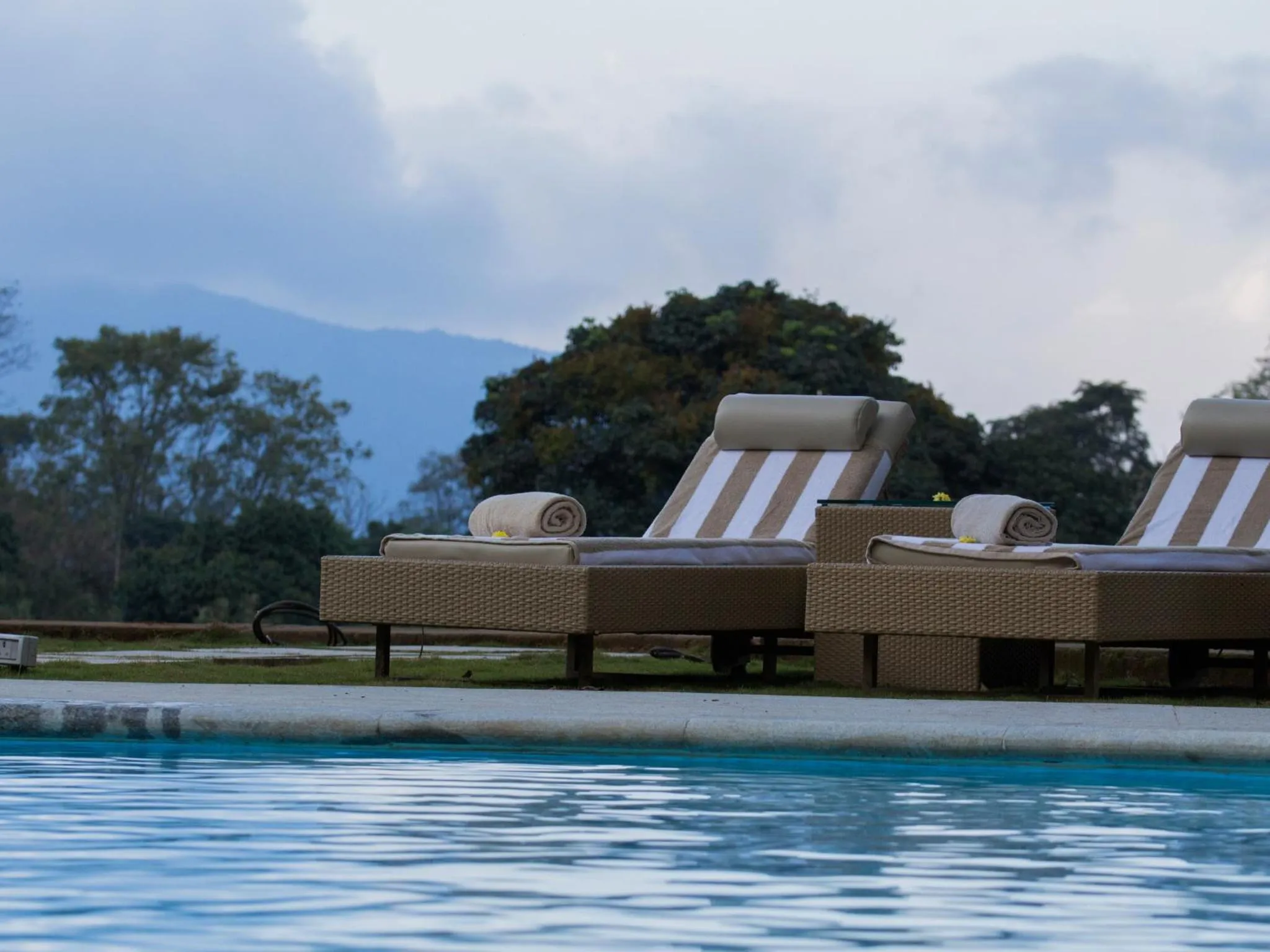 Swimming pool in The Tamara Coorg