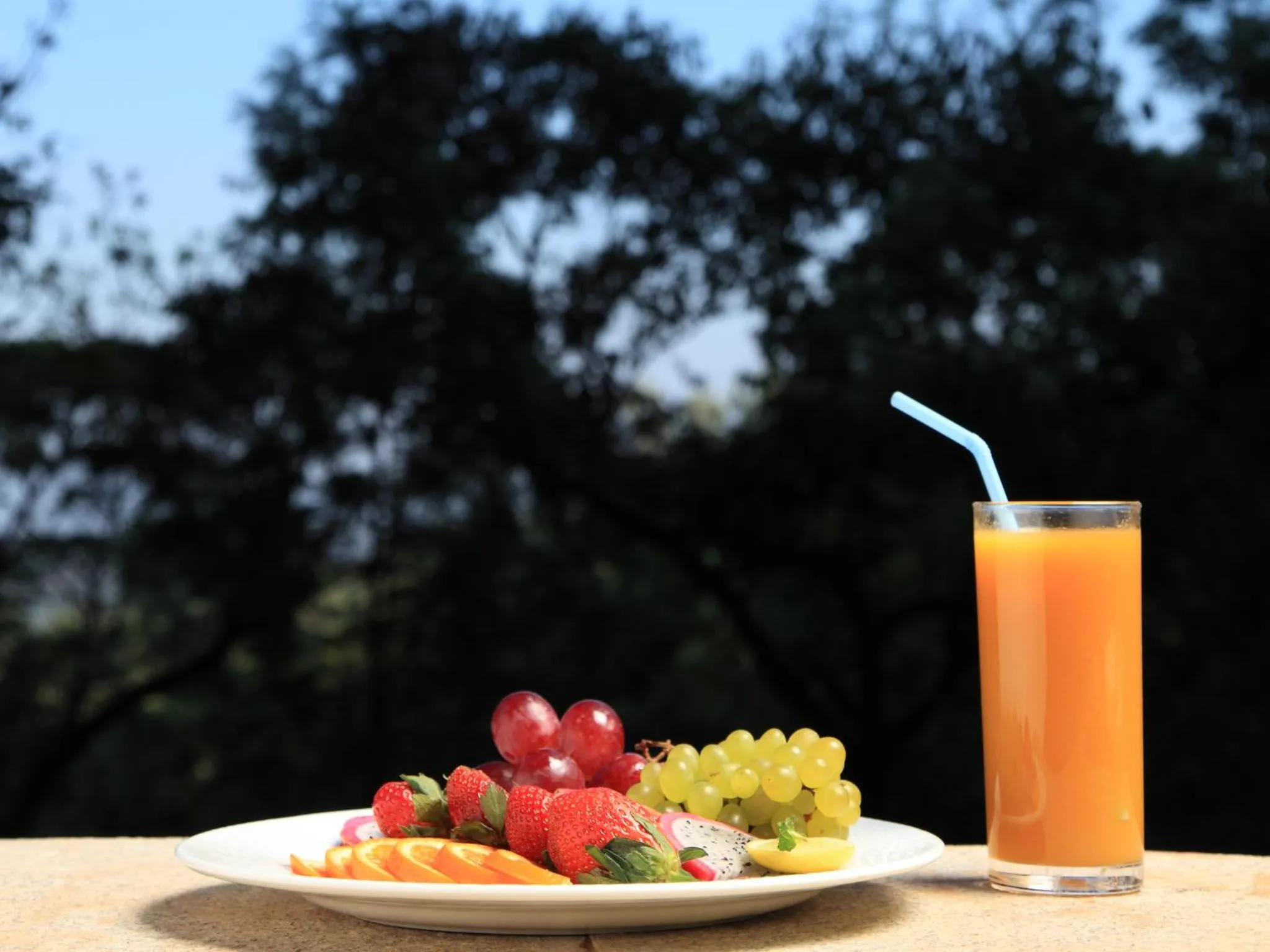 Restaurant/places to eat in The Tamara Coorg