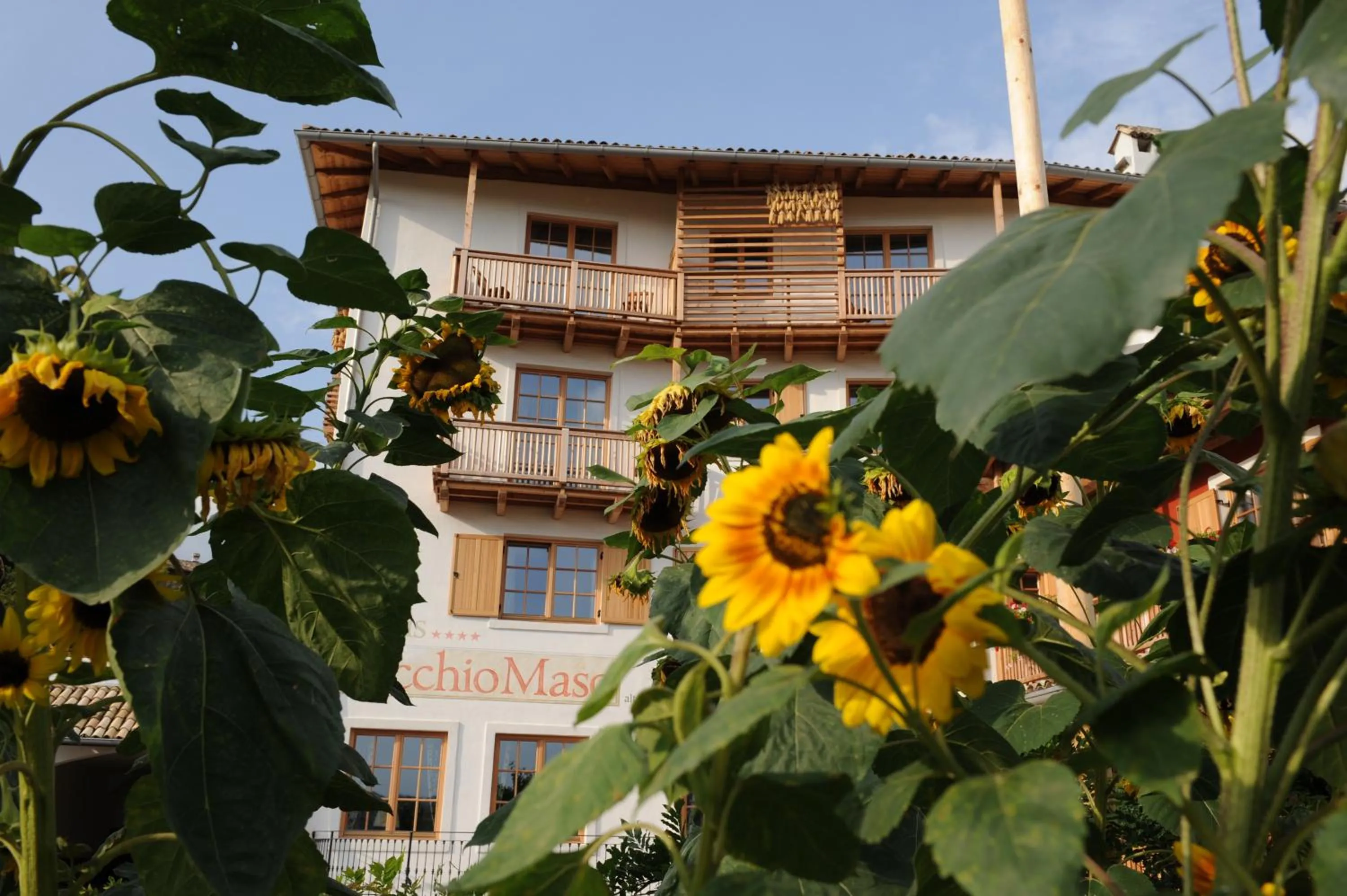 Property building in Hotel Relais Vecchio Maso
