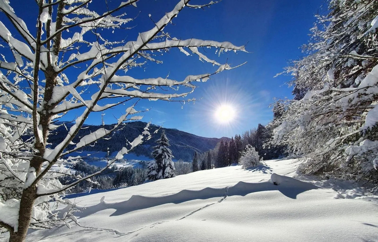 Natural landscape in Le Valombré