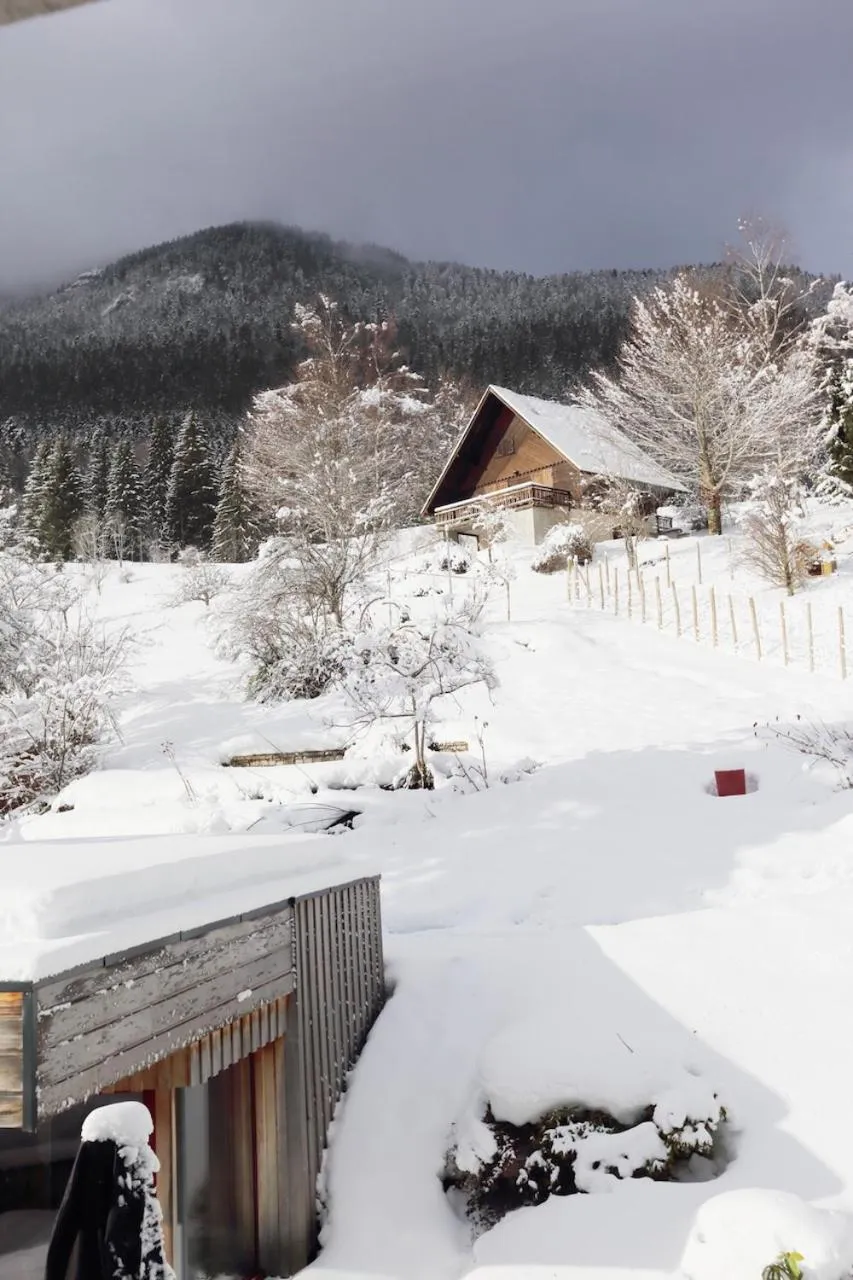 Winter in Le Valombré