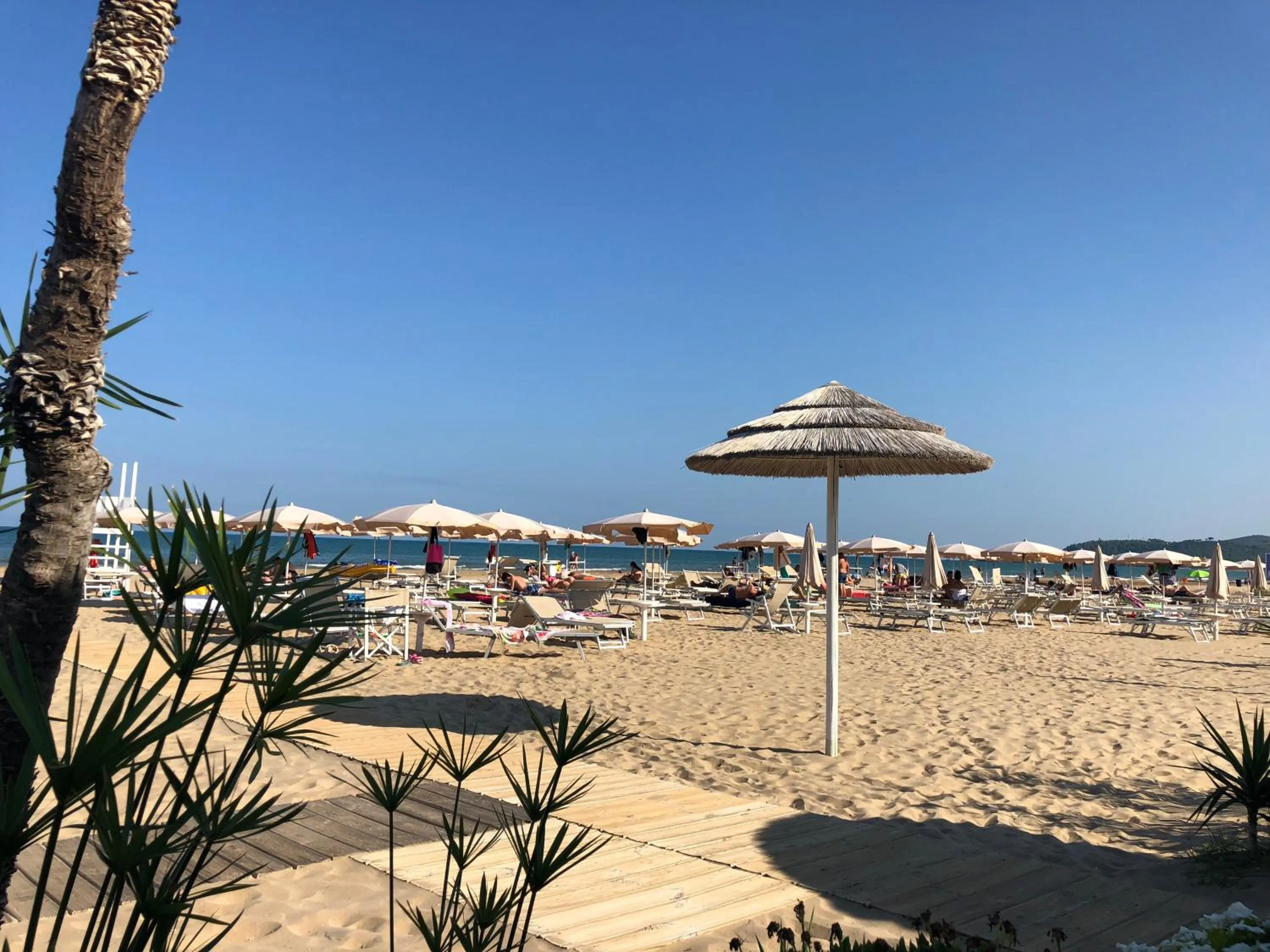 Residence La Conchiglia