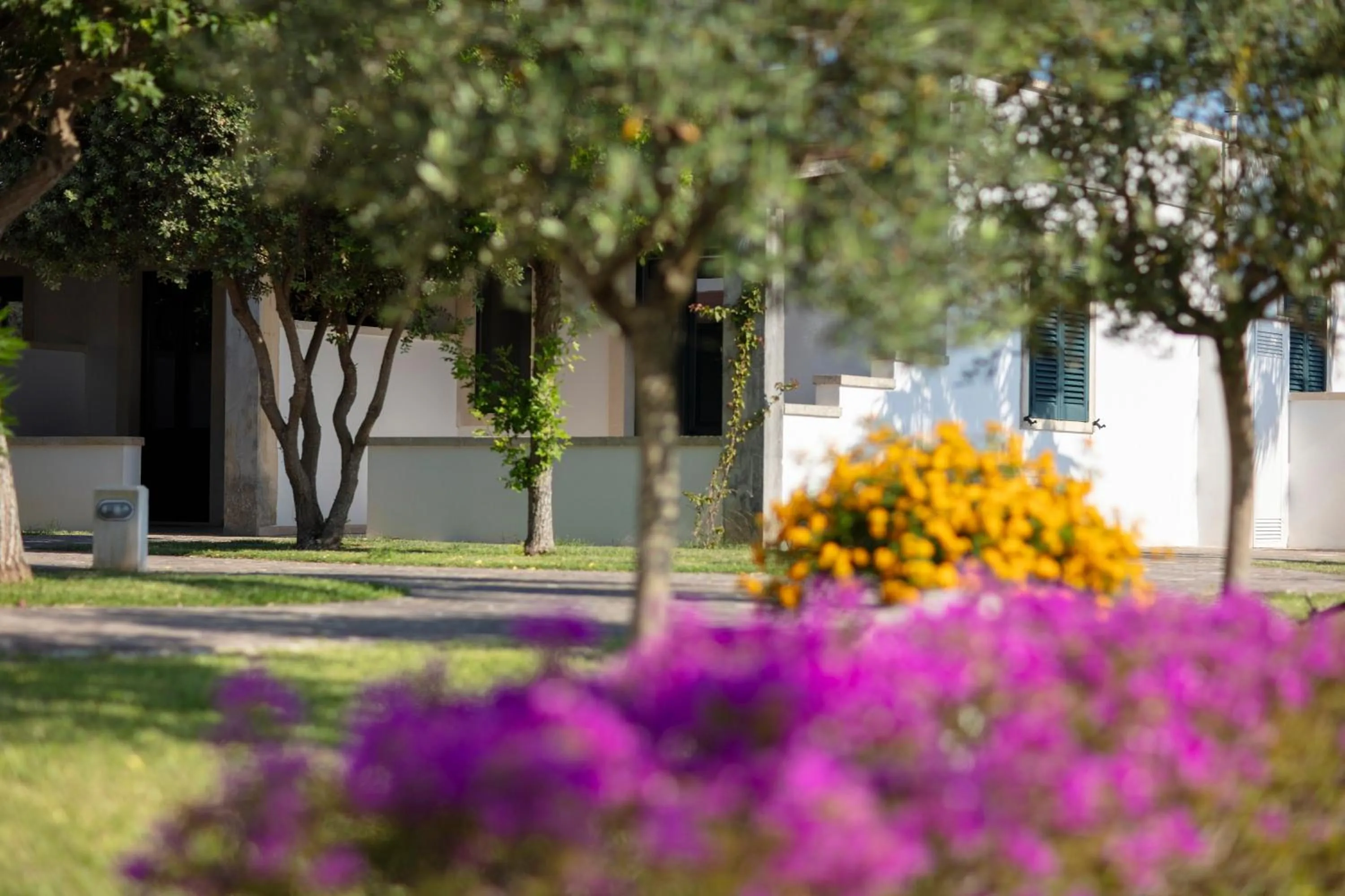 Garden in Borgo Mulino a Vento - Resort