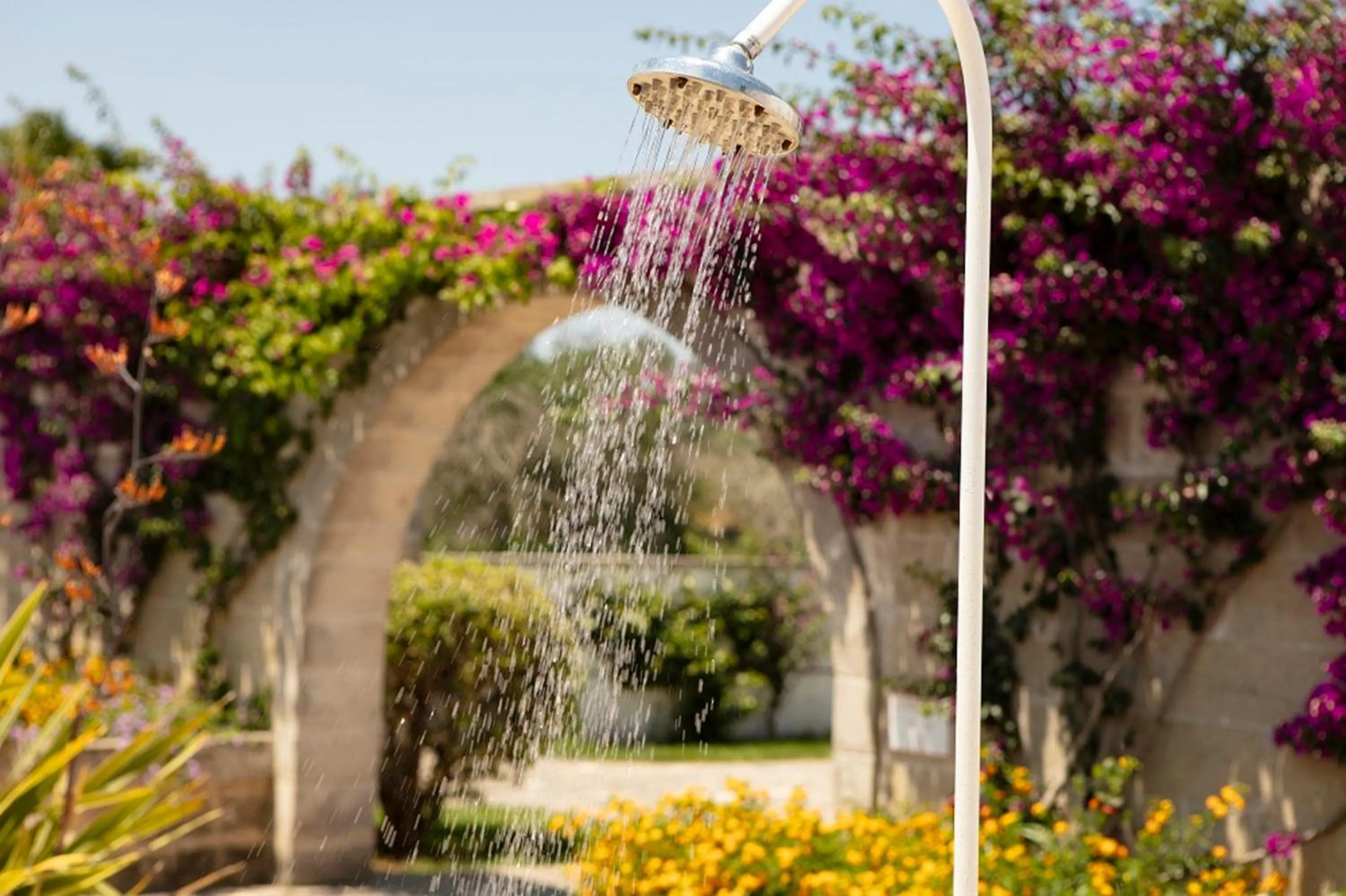 Garden in Borgo Mulino a Vento - Resort