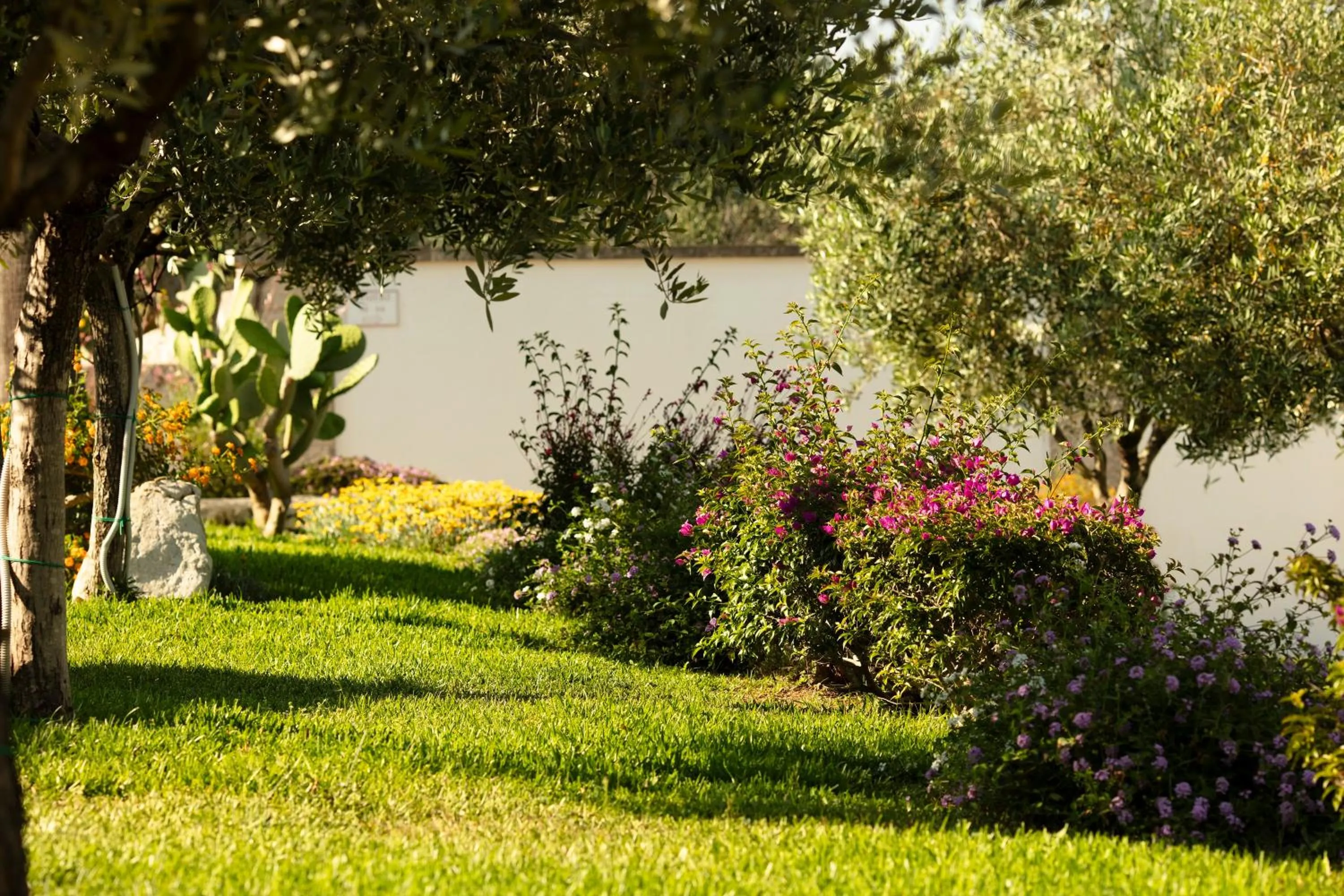 Garden in Borgo Mulino a Vento - Resort