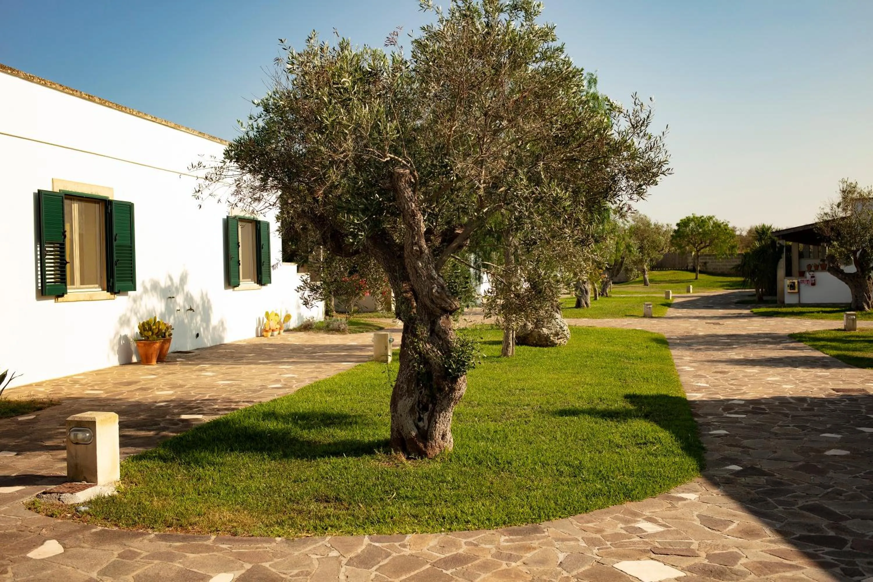 Garden in Borgo Mulino a Vento - Resort