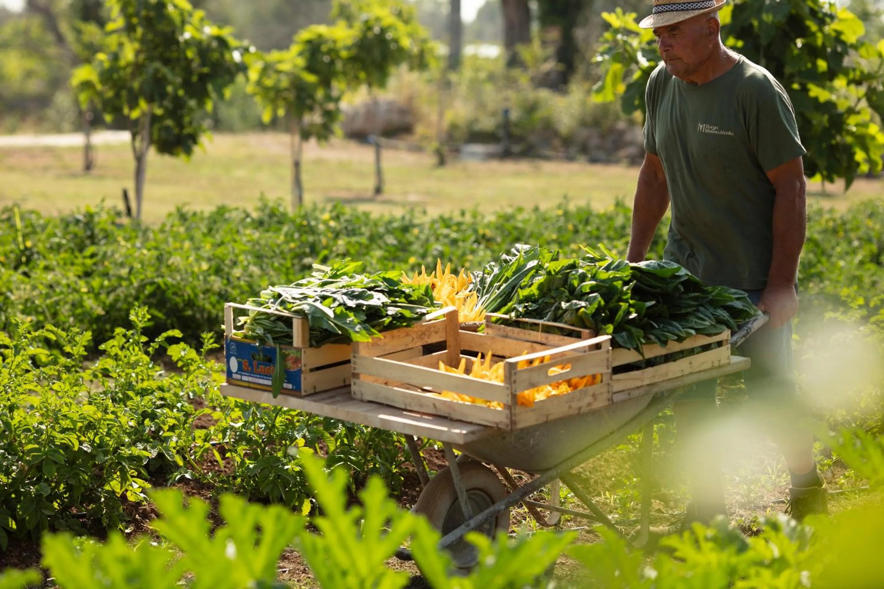 Restaurant/places to eat in Borgo Mulino a Vento - Resort
