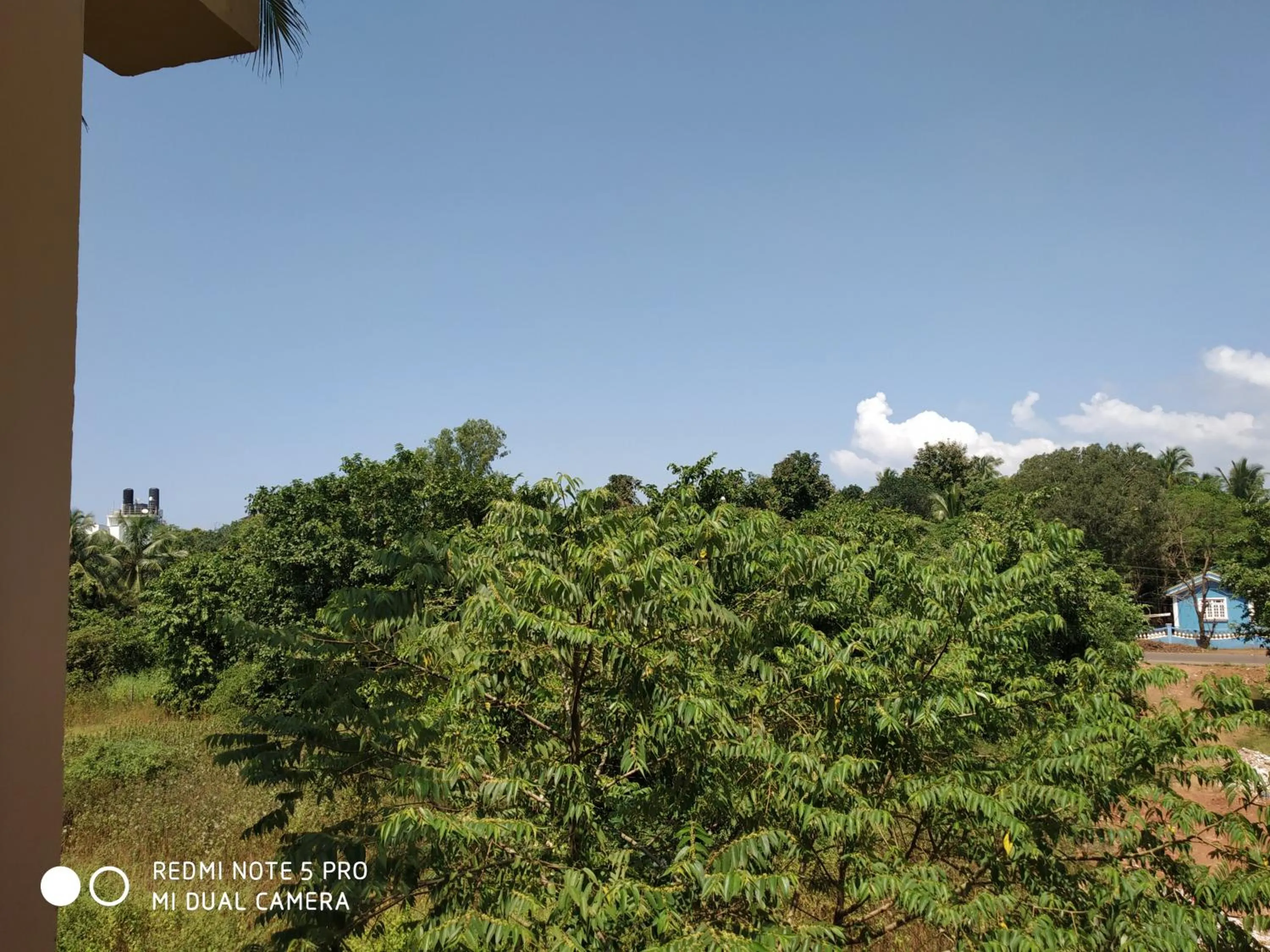 Natural landscape in Kiara Hotel Goa