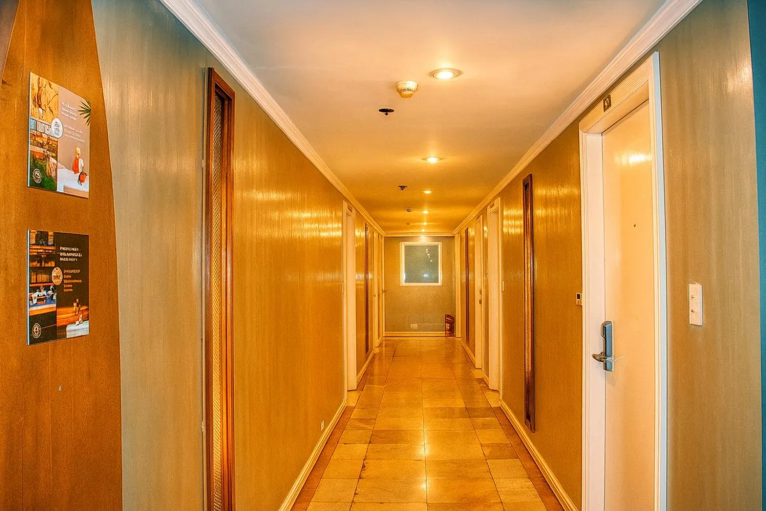 Property building in CONNECTOR Hostel