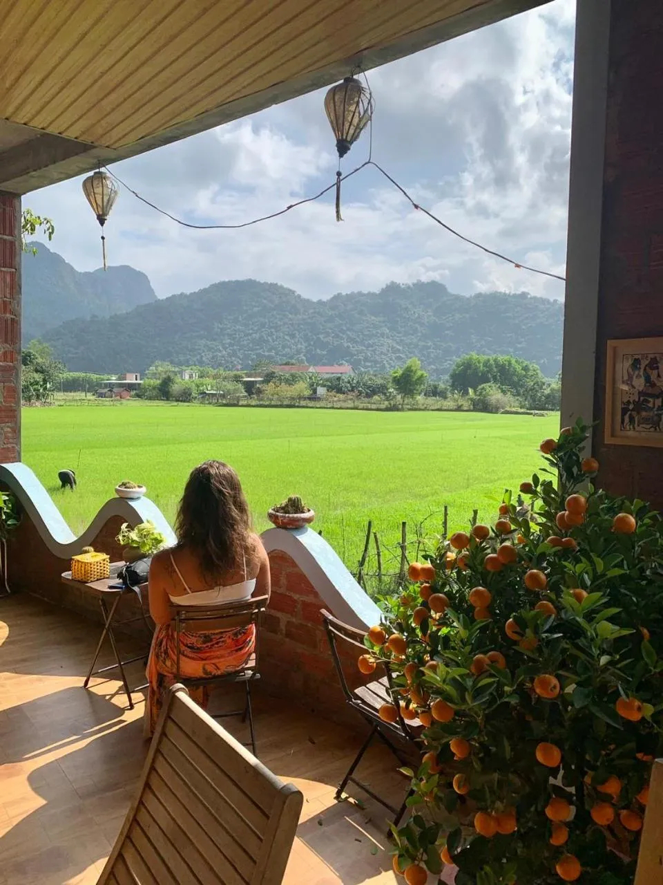 Day in Phong Nha An An Homestay