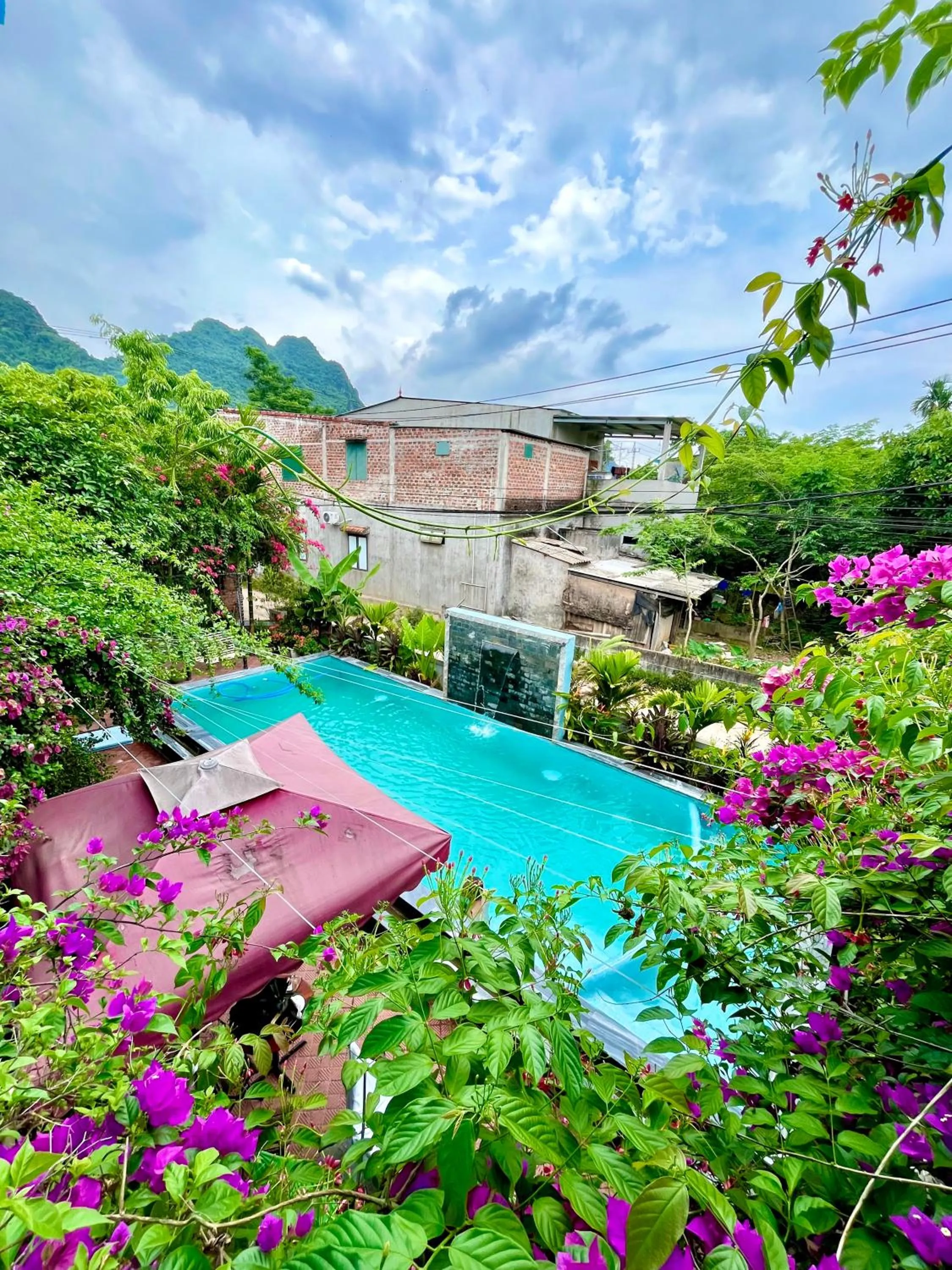 Day in Phong Nha An An Homestay