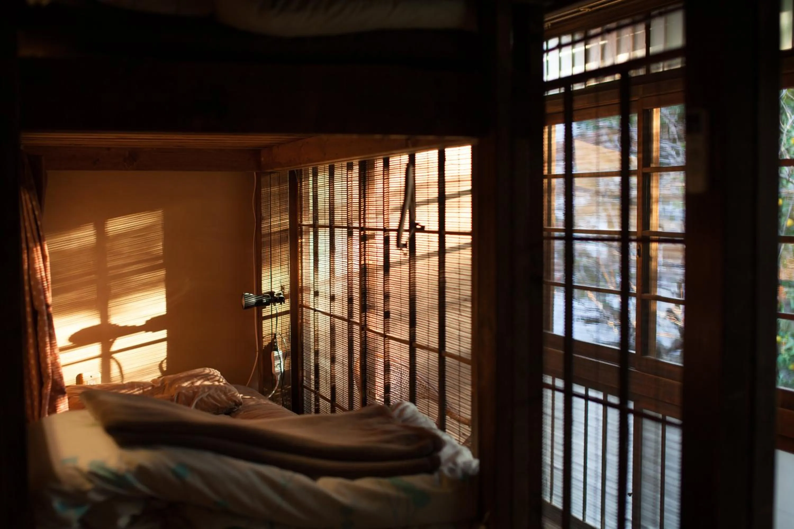 bunk bed, Bed in Guesthouse toco