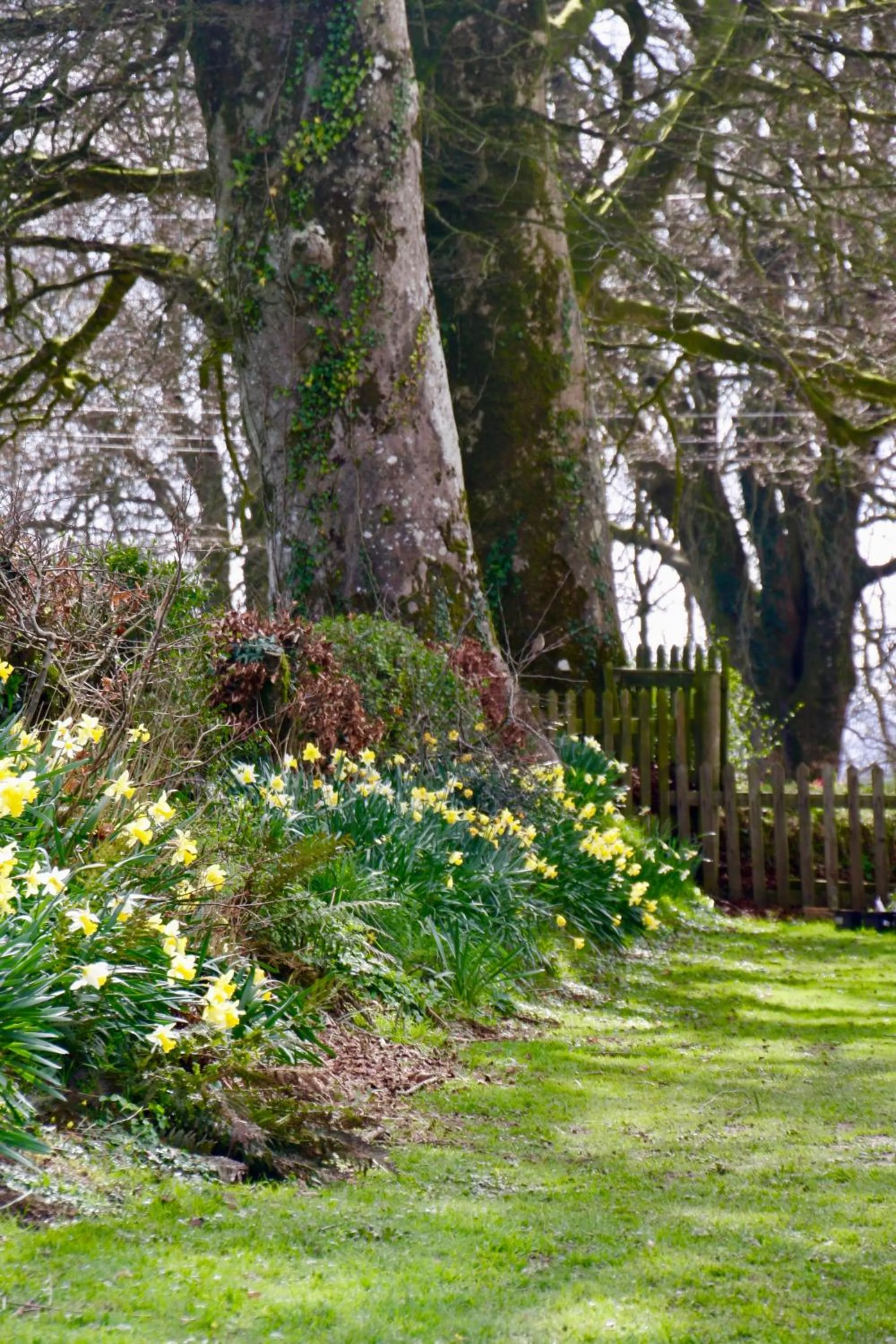 Garden in Ebberley Escapes