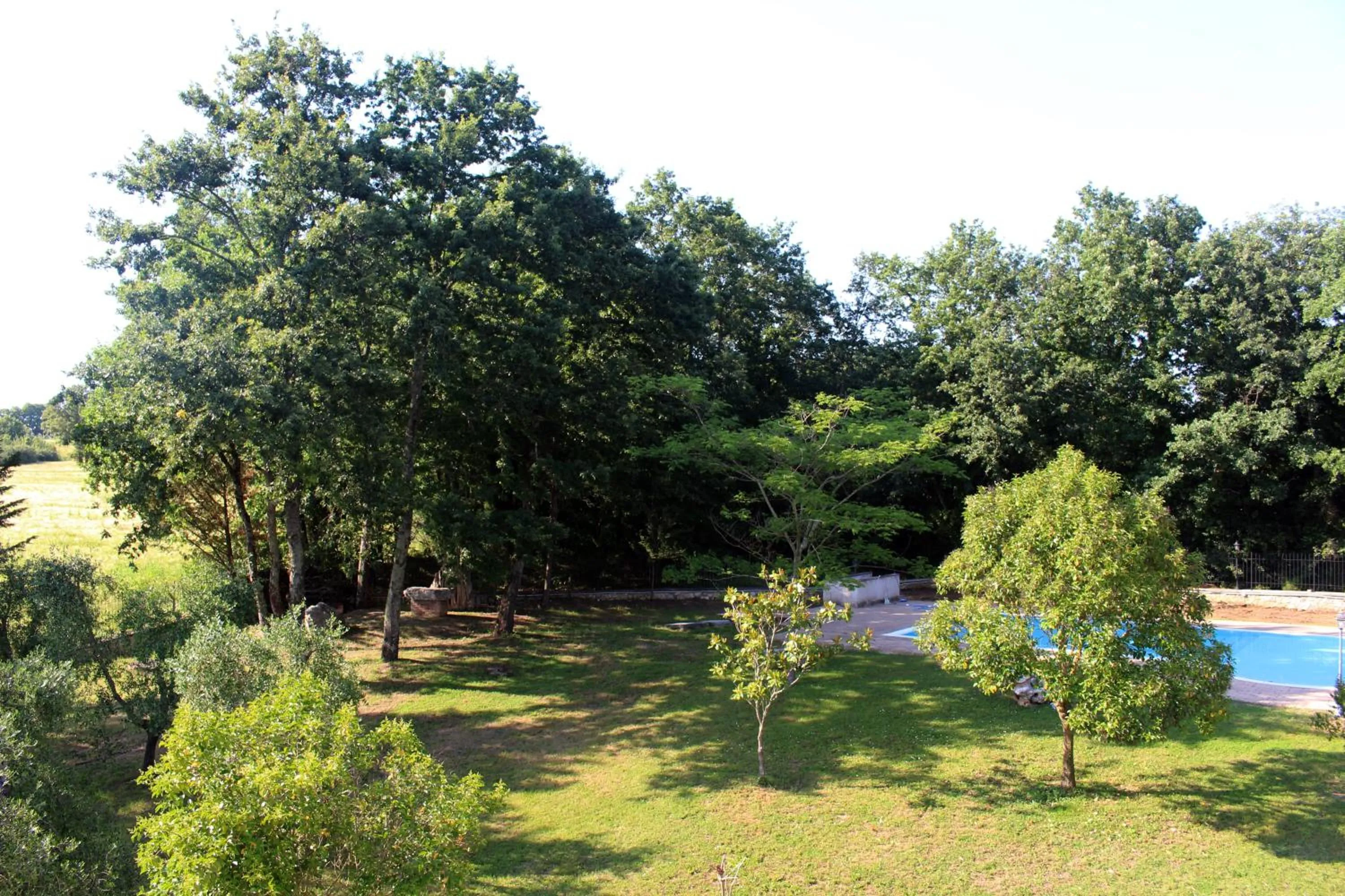 Garden in Il Podere San Giuseppe