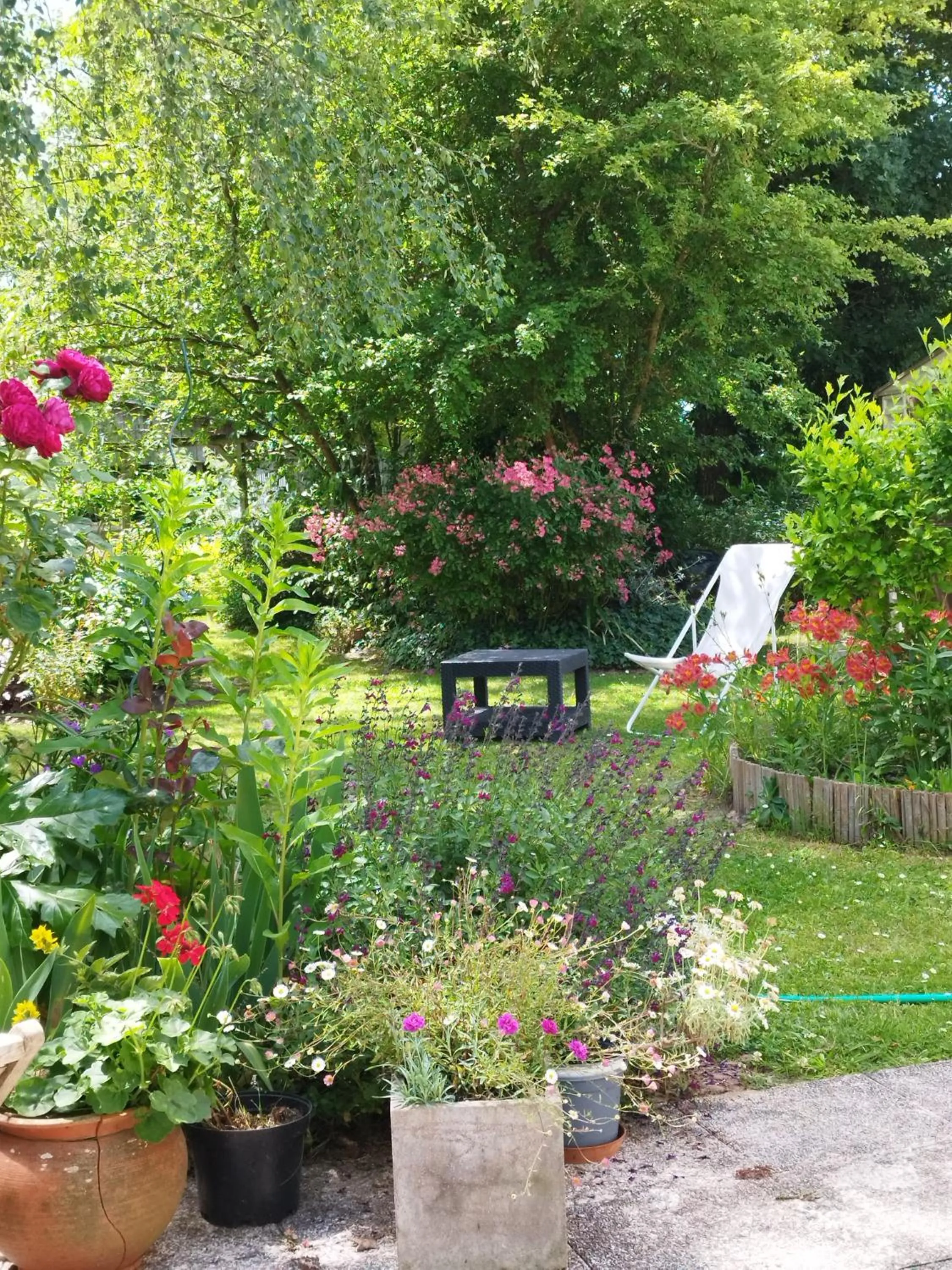 Le champ du petit bois