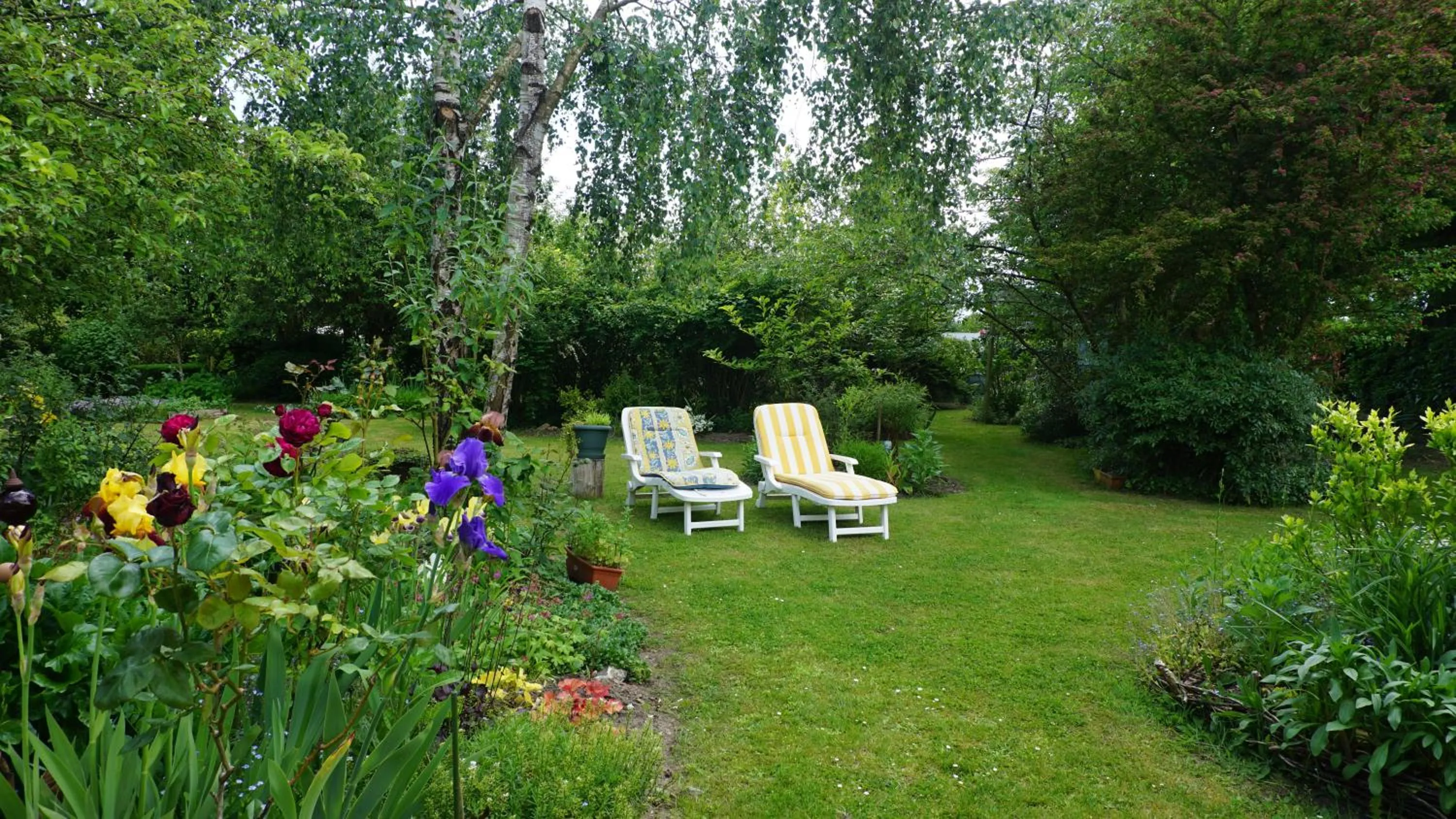 Garden view in Le champ du petit bois