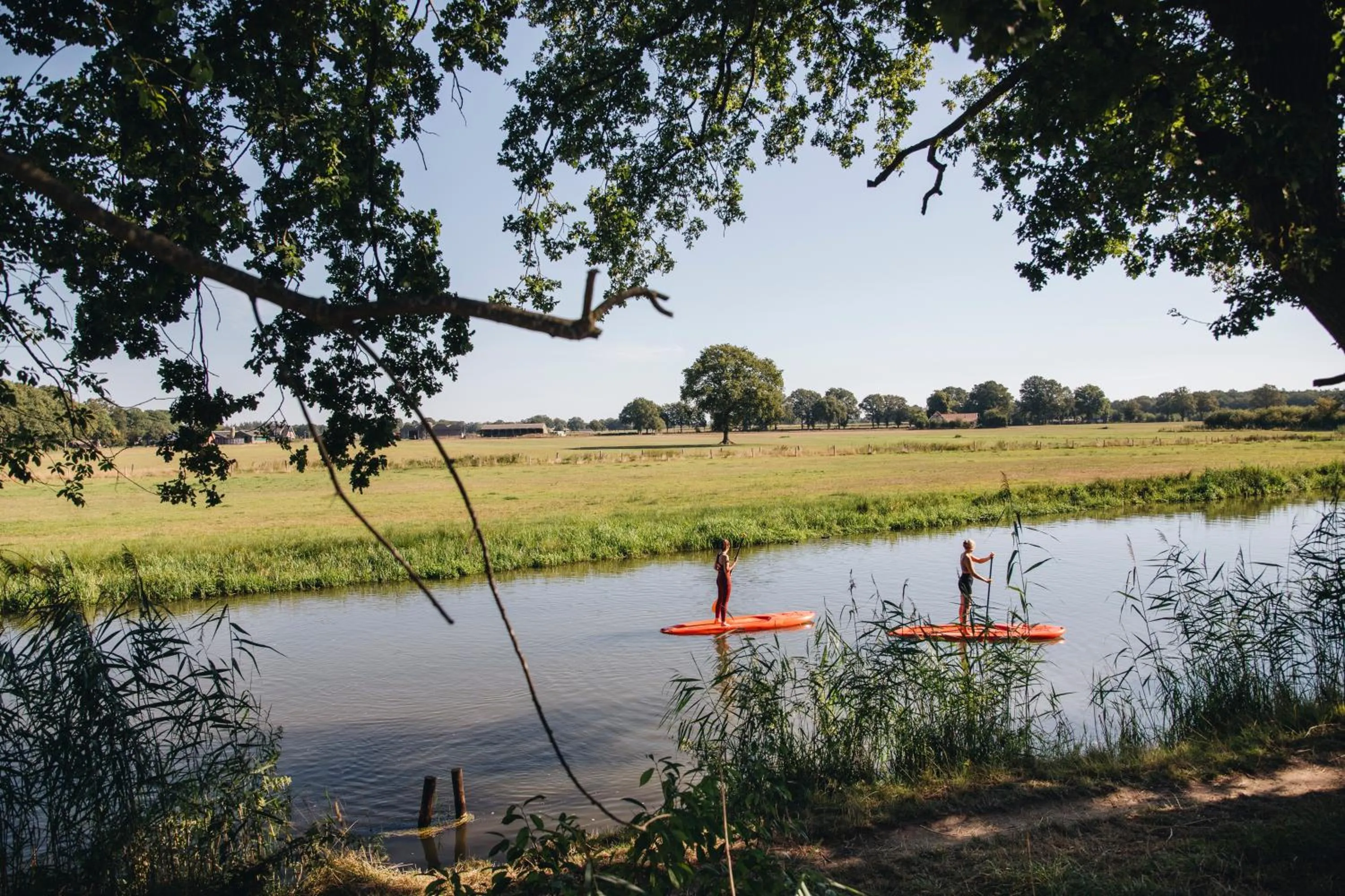 Natural landscape in Vakantiepark Mölke