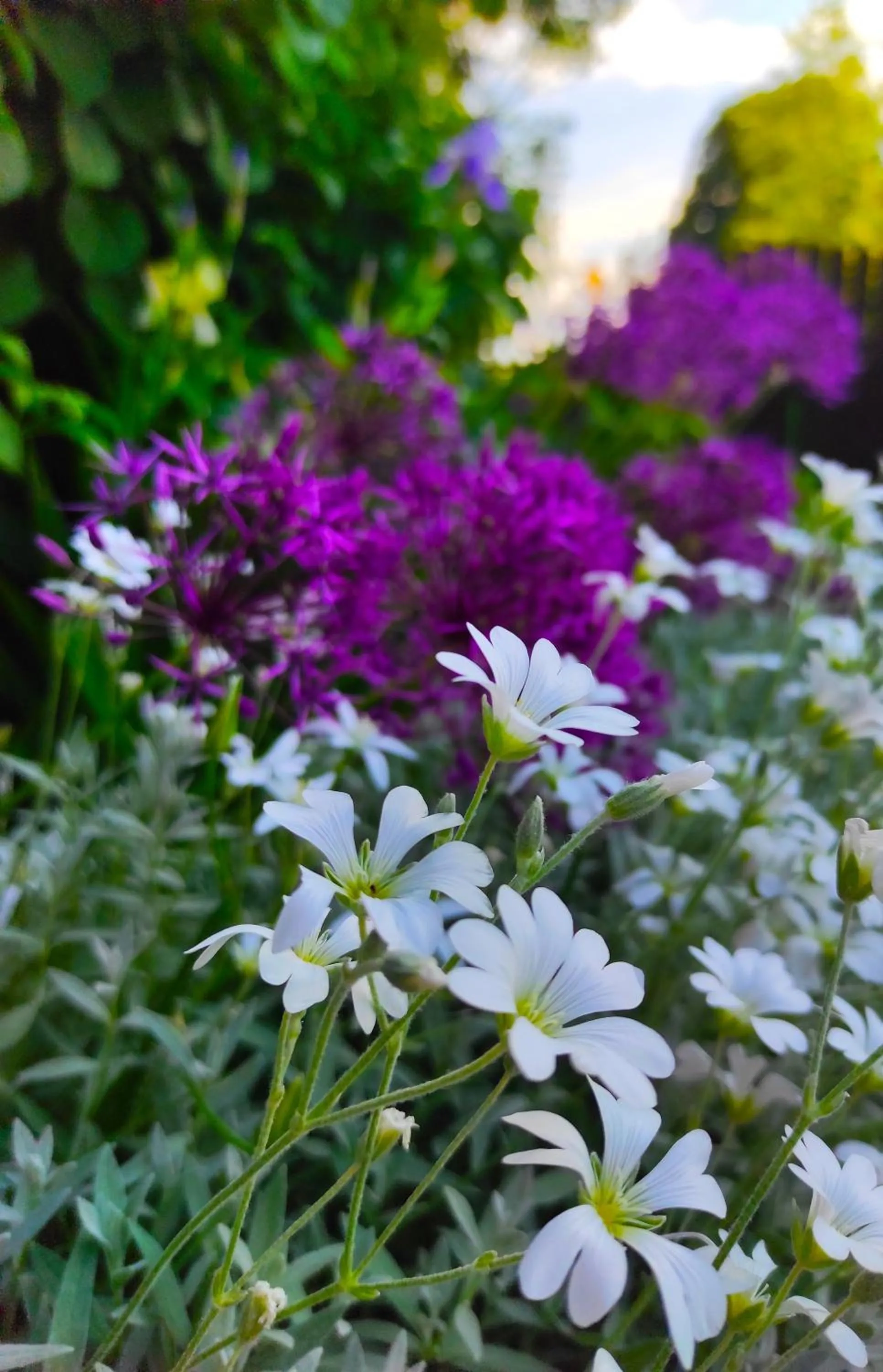 Property building in Śnieżka