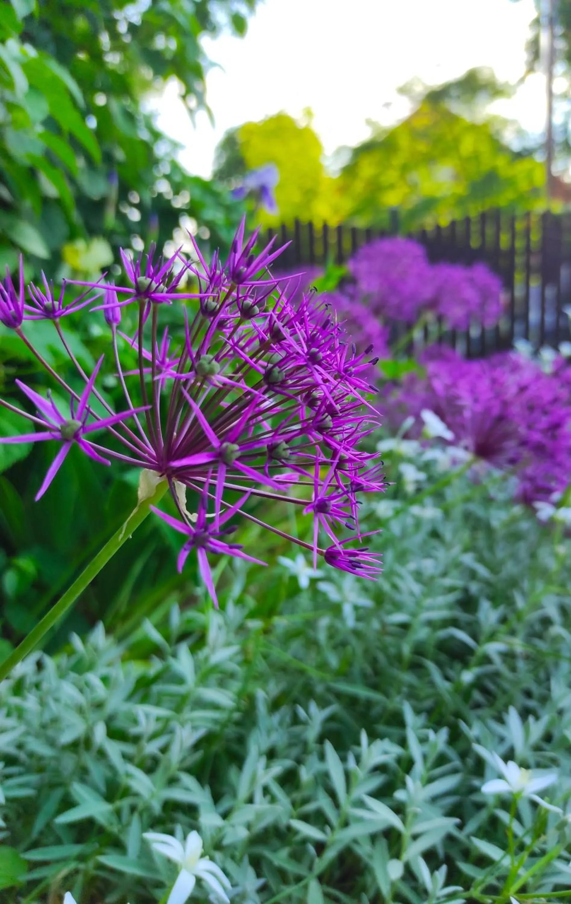 Property building in Śnieżka
