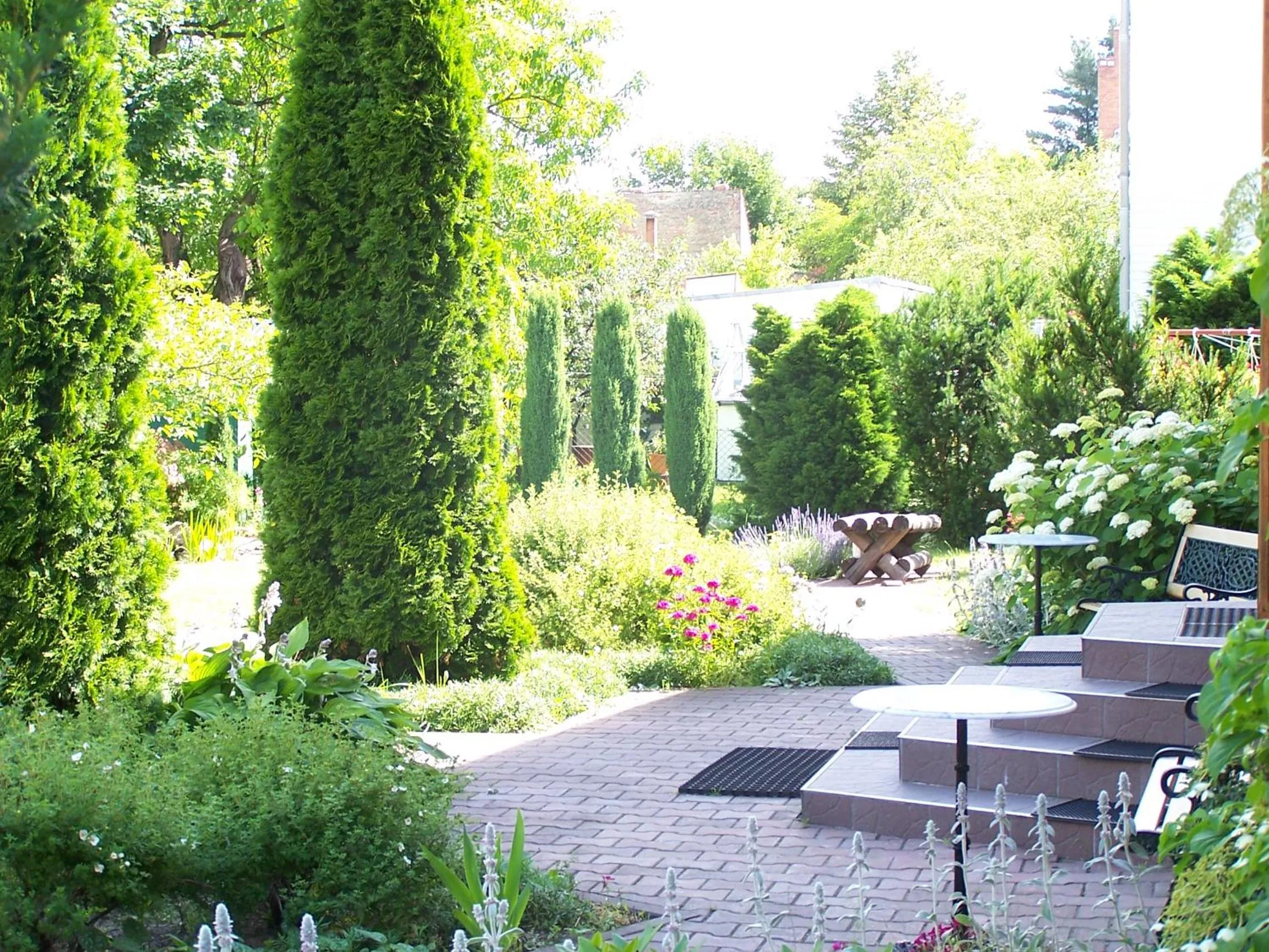 Natural landscape in Śnieżka