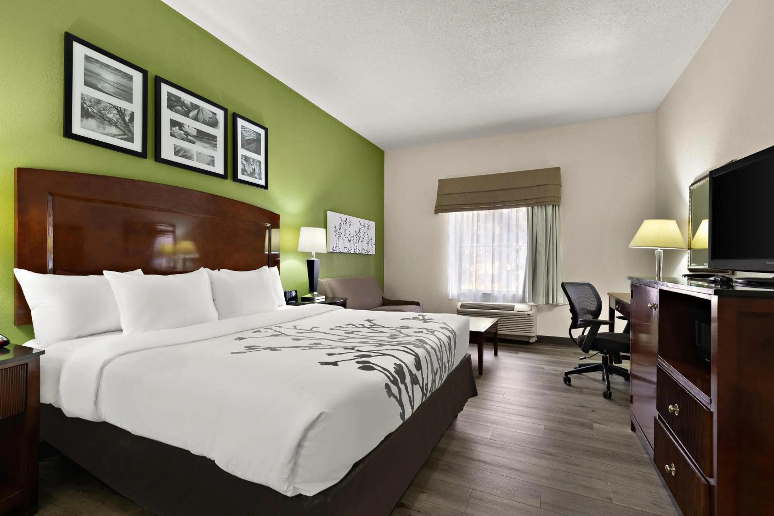 Photo of the whole room, Bed in Sleep Inn & Suites near Joint Base Andrews-Washington Area