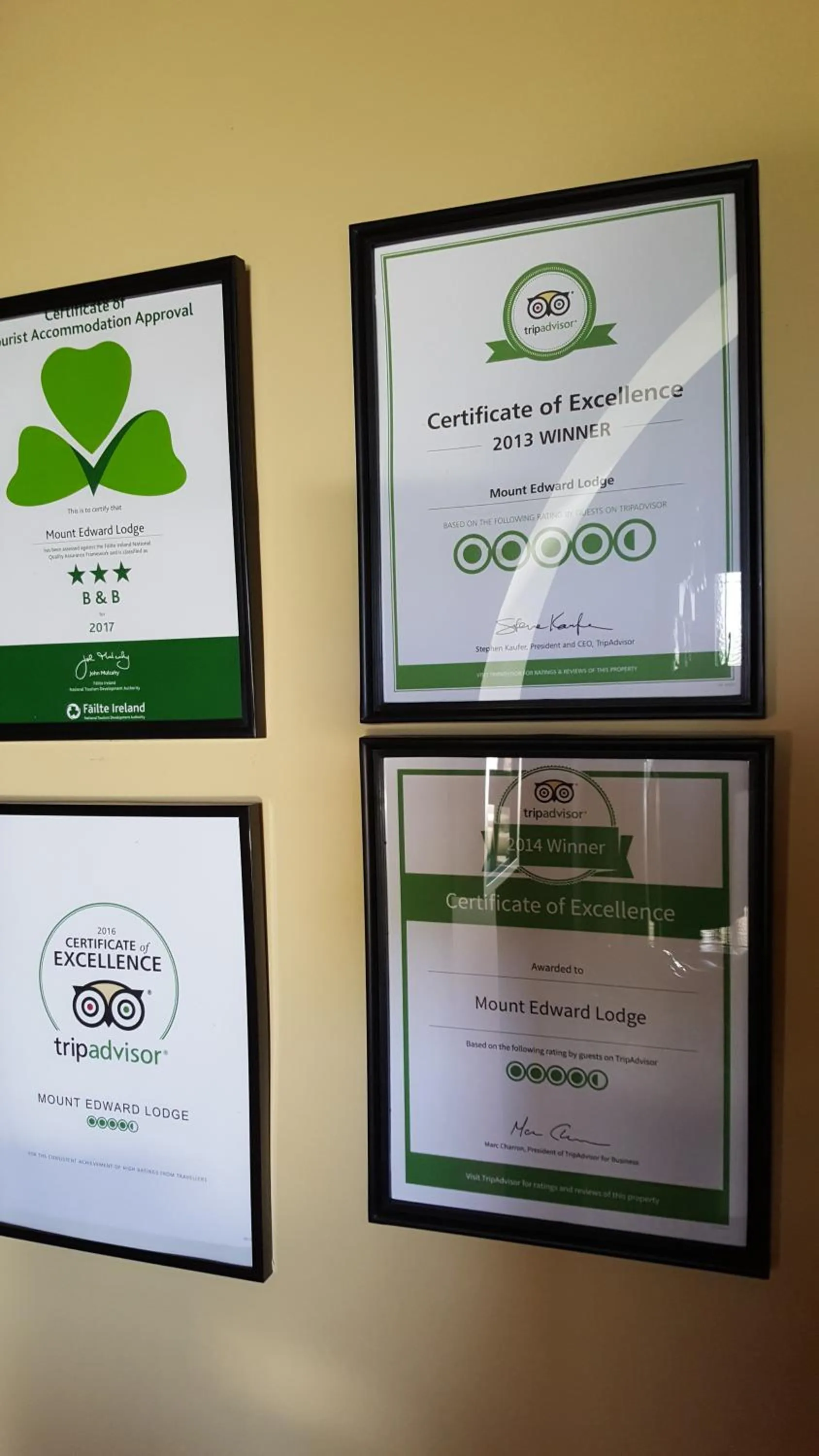 Area and facilities in Mount Edward Lodge