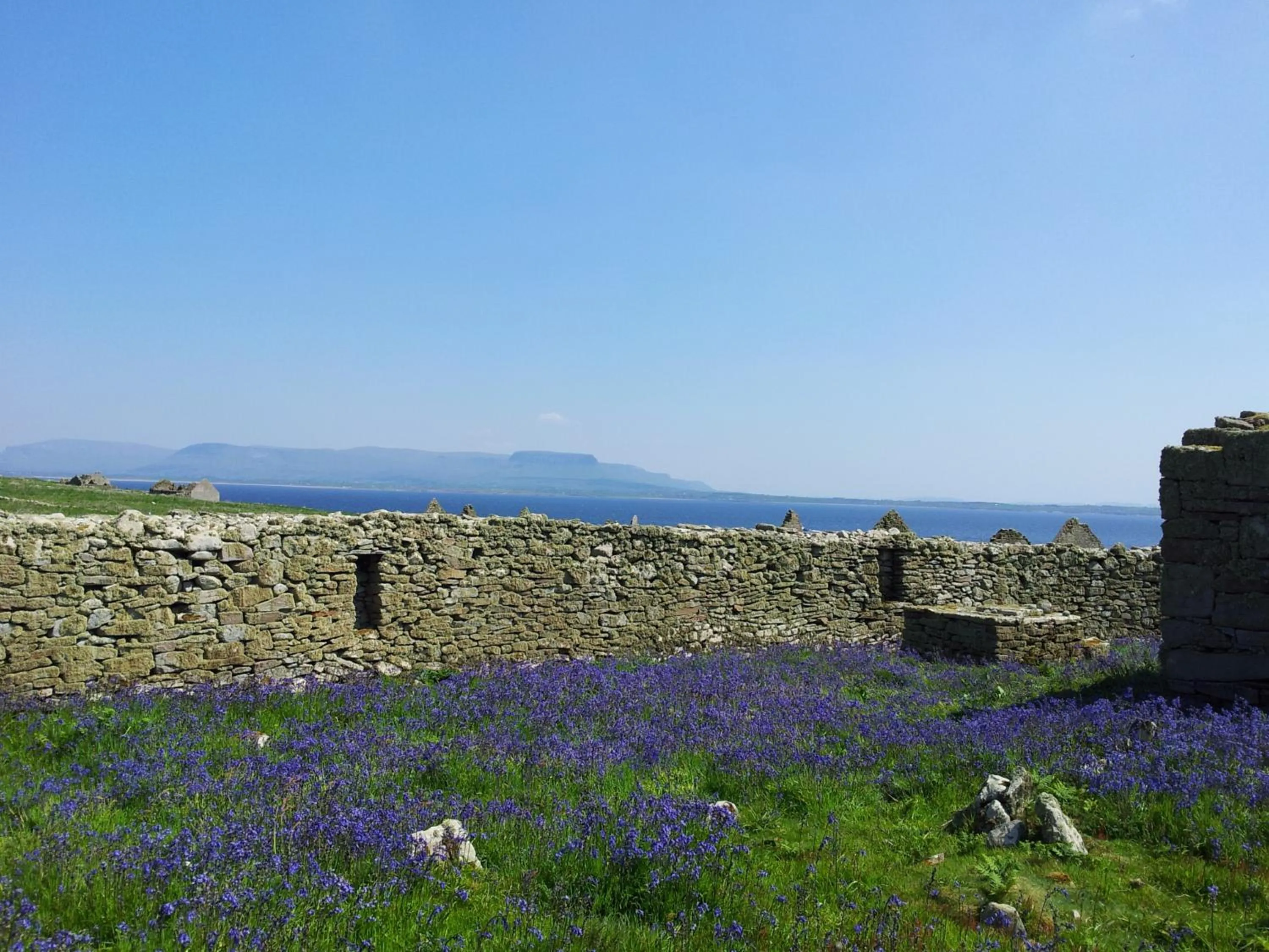 View (from property/room) in Mount Edward Lodge