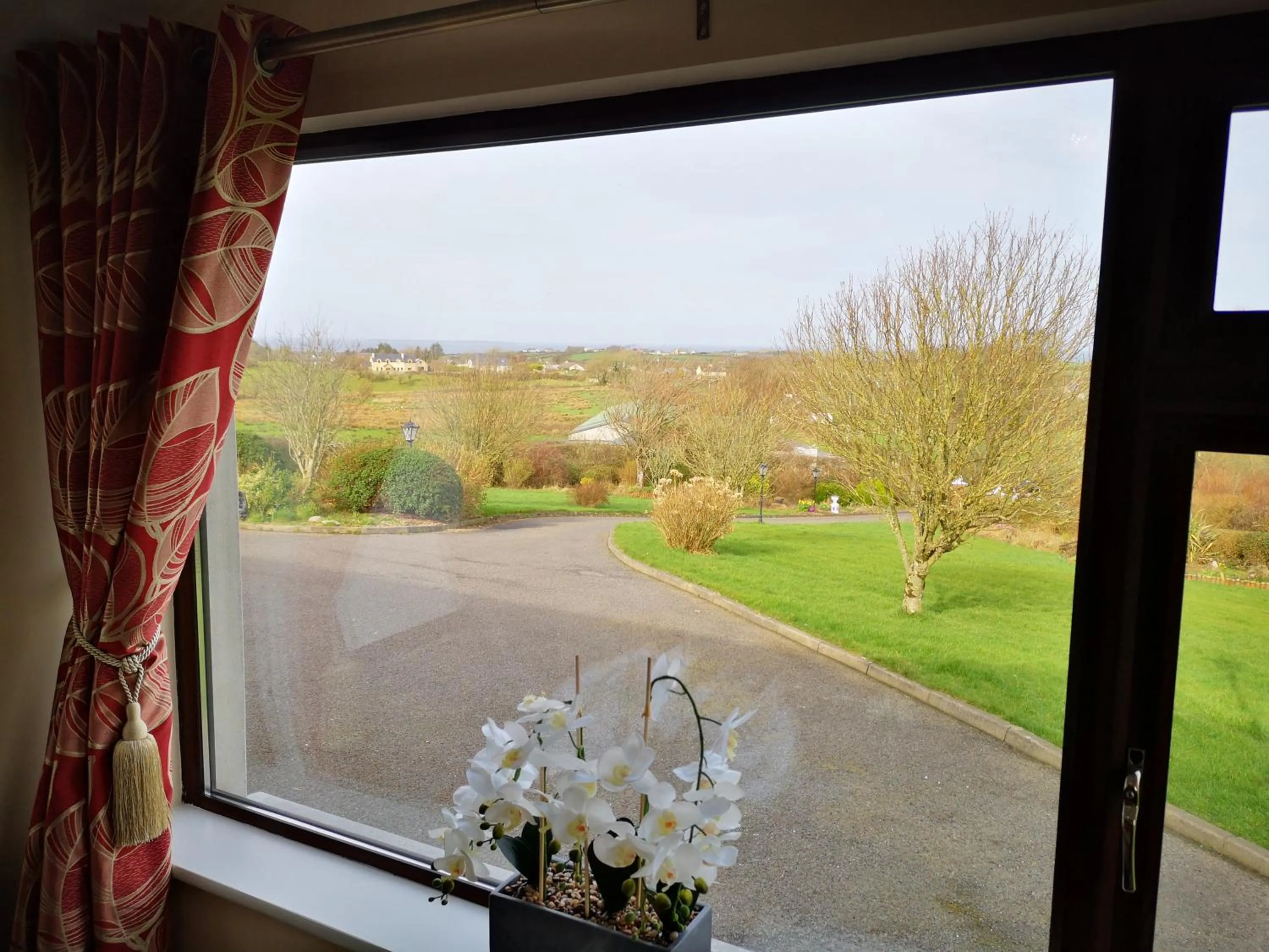 Garden view in Mount Edward Lodge