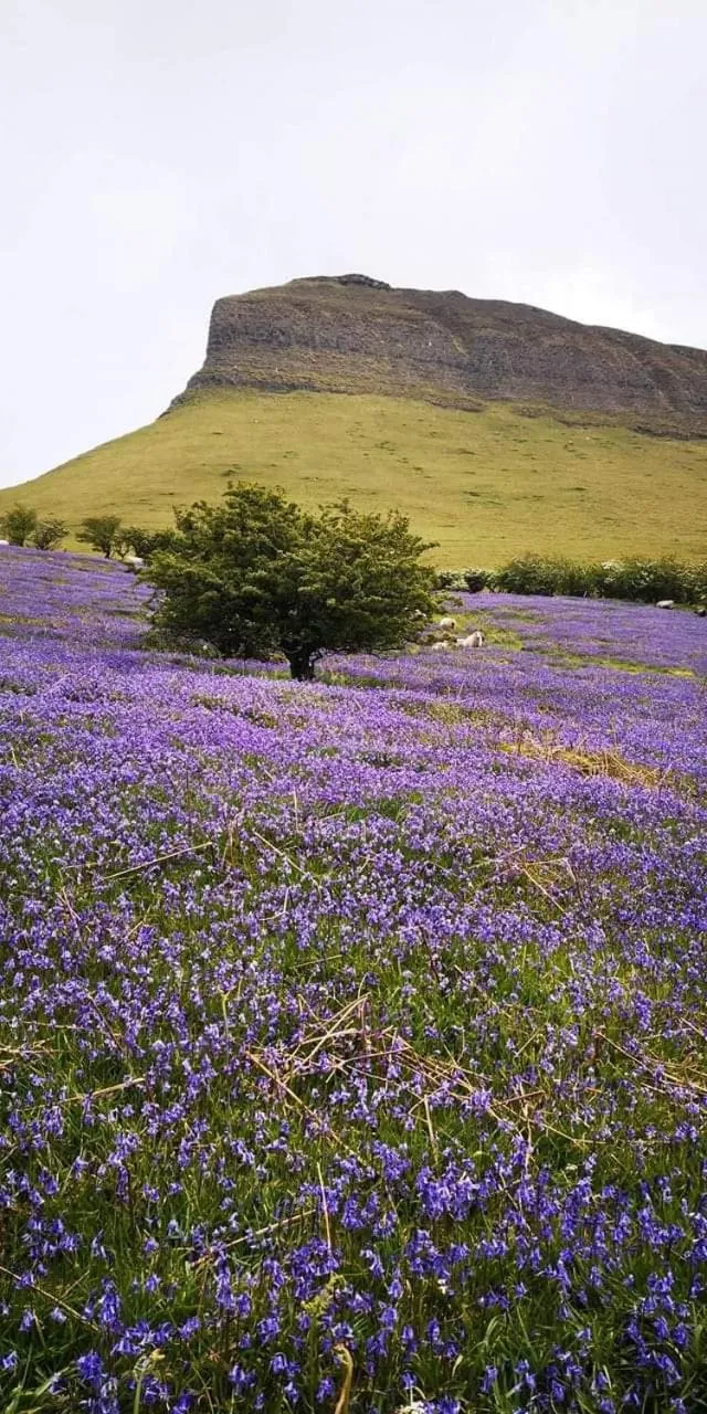 Nearby landmark in Mount Edward Lodge