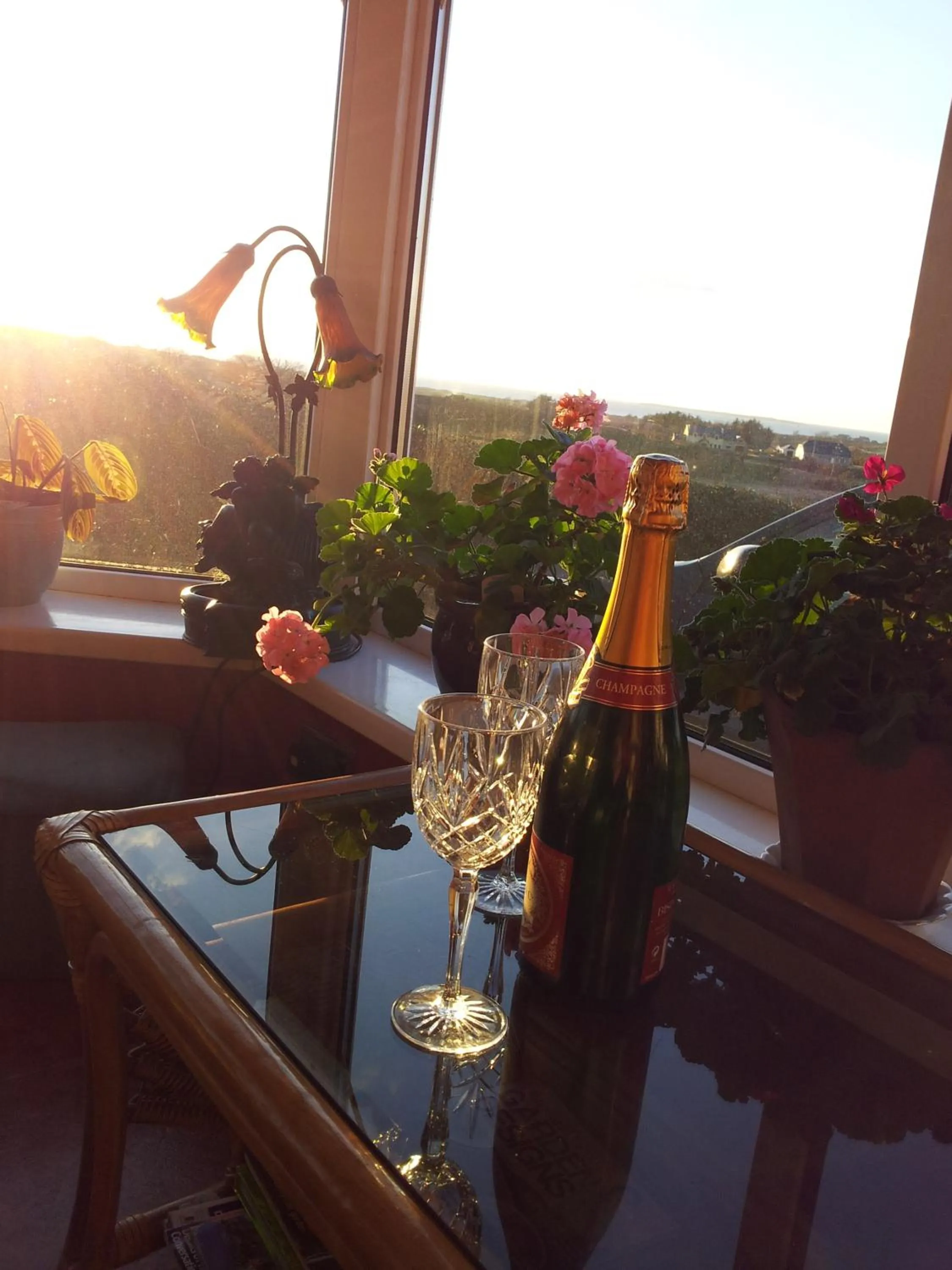 View (from property/room) in Mount Edward Lodge