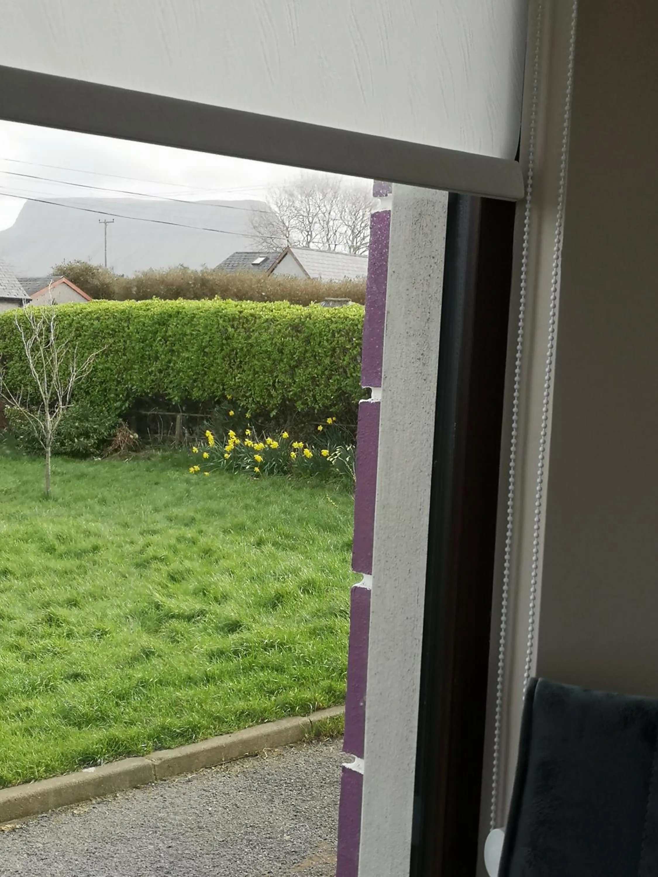 Mountain view in Mount Edward Lodge