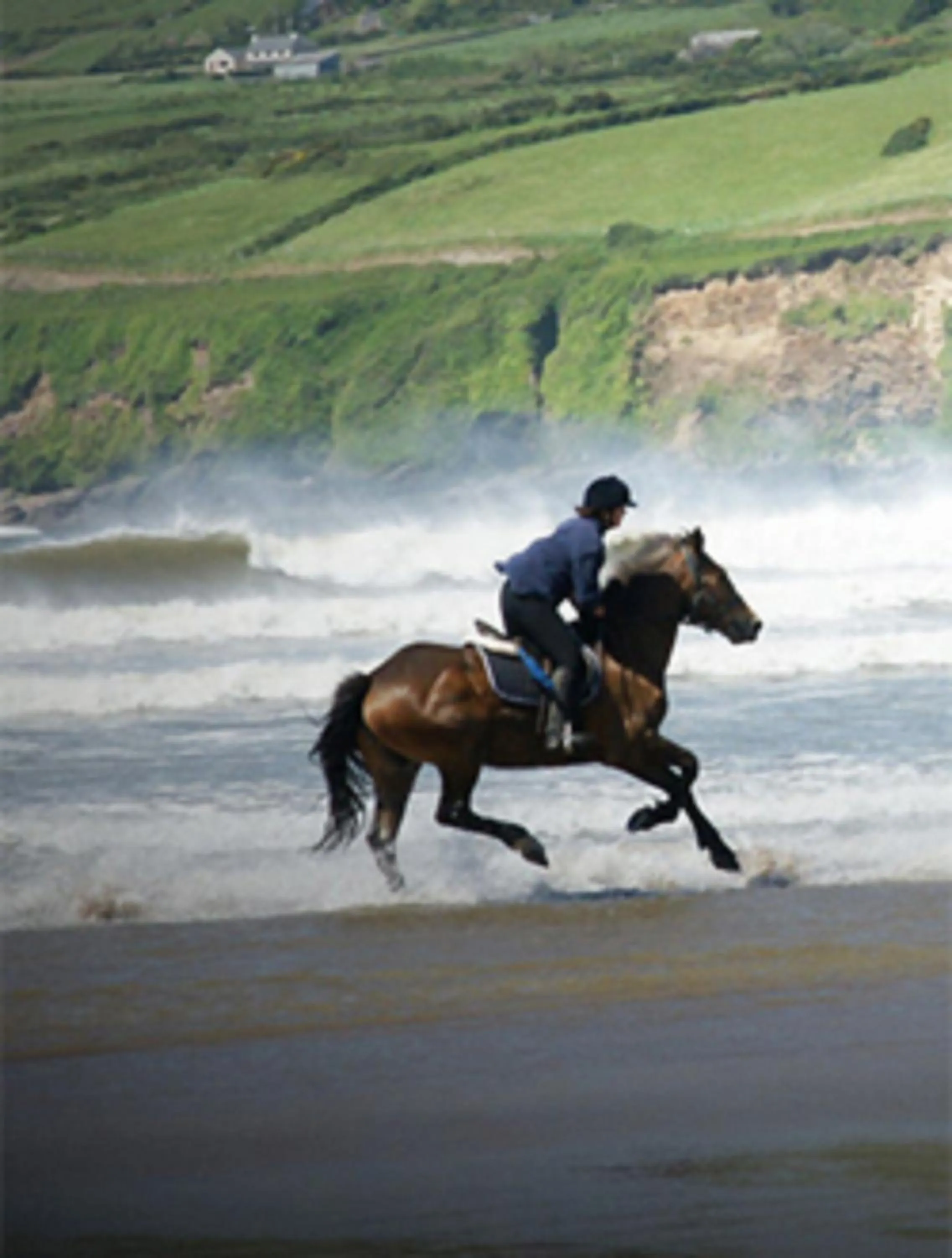 Horse-riding in Mount Edward Lodge