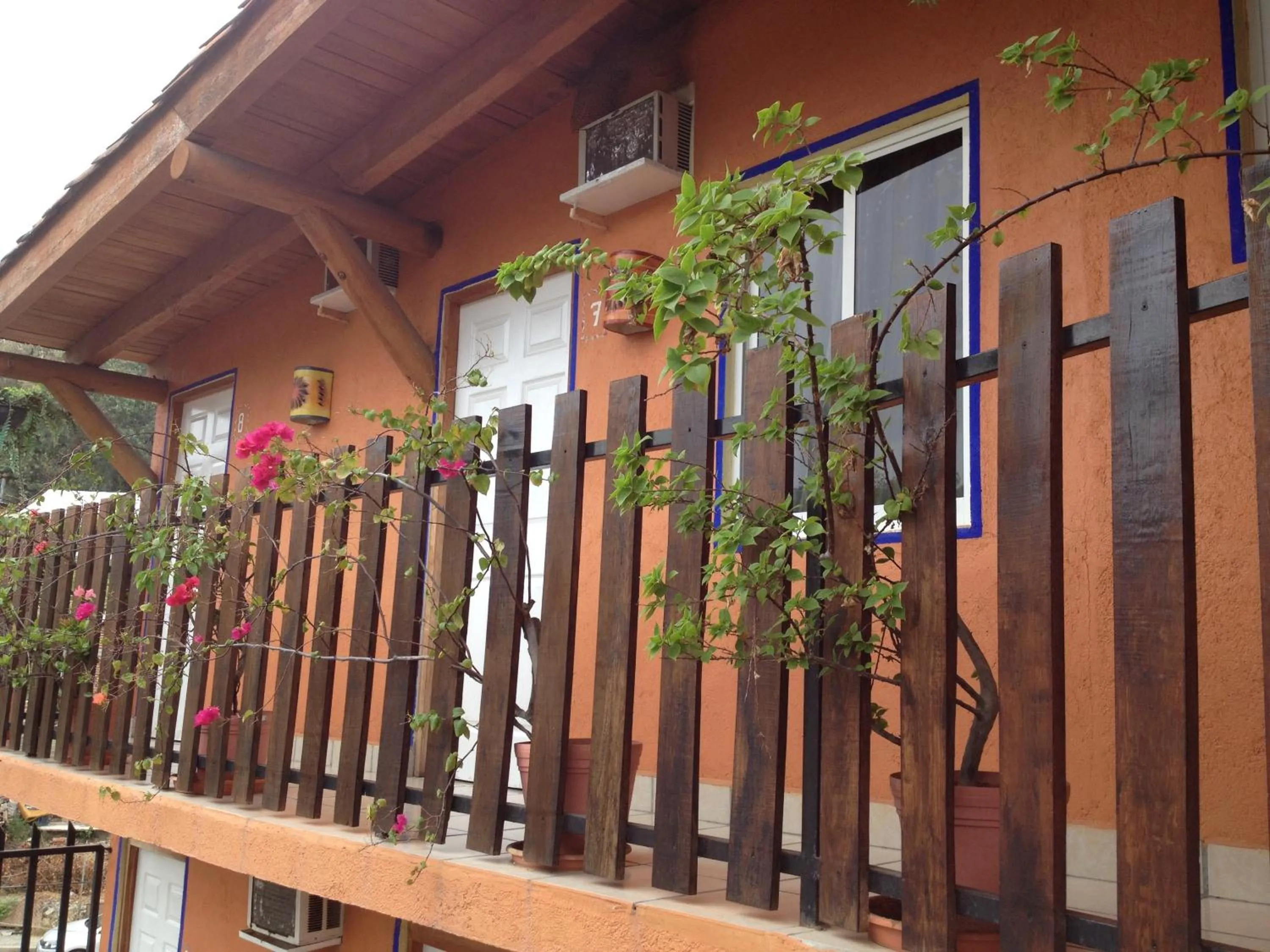 Balcony/Terrace in Hotel Las Salinas