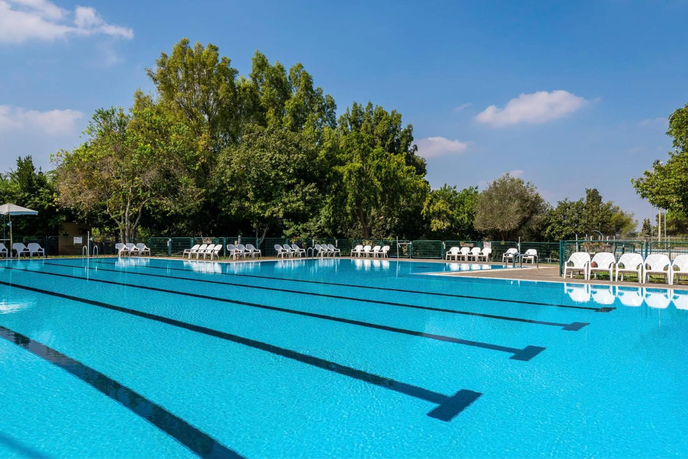Swimming pool in Mizra Guest House