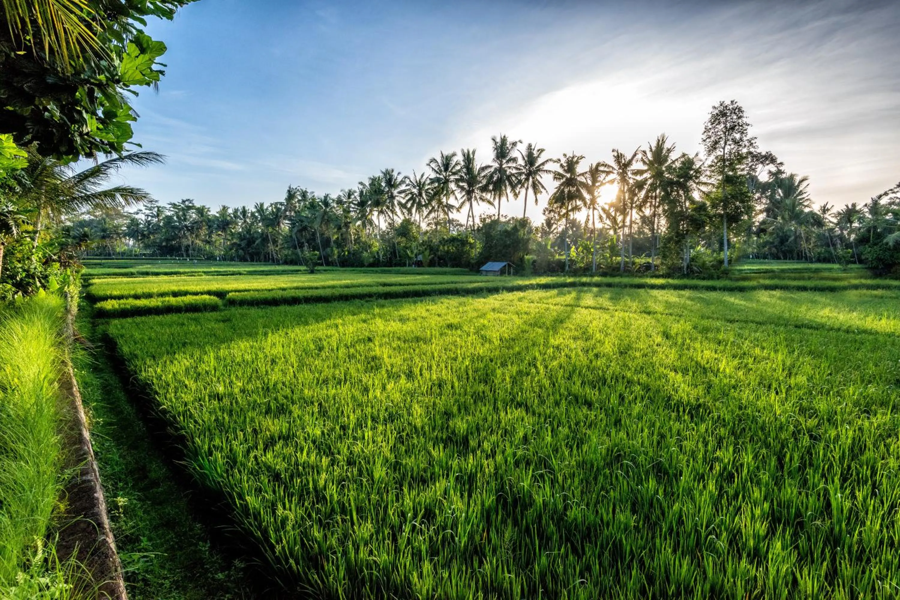 Neighbourhood in Villa Sabandari