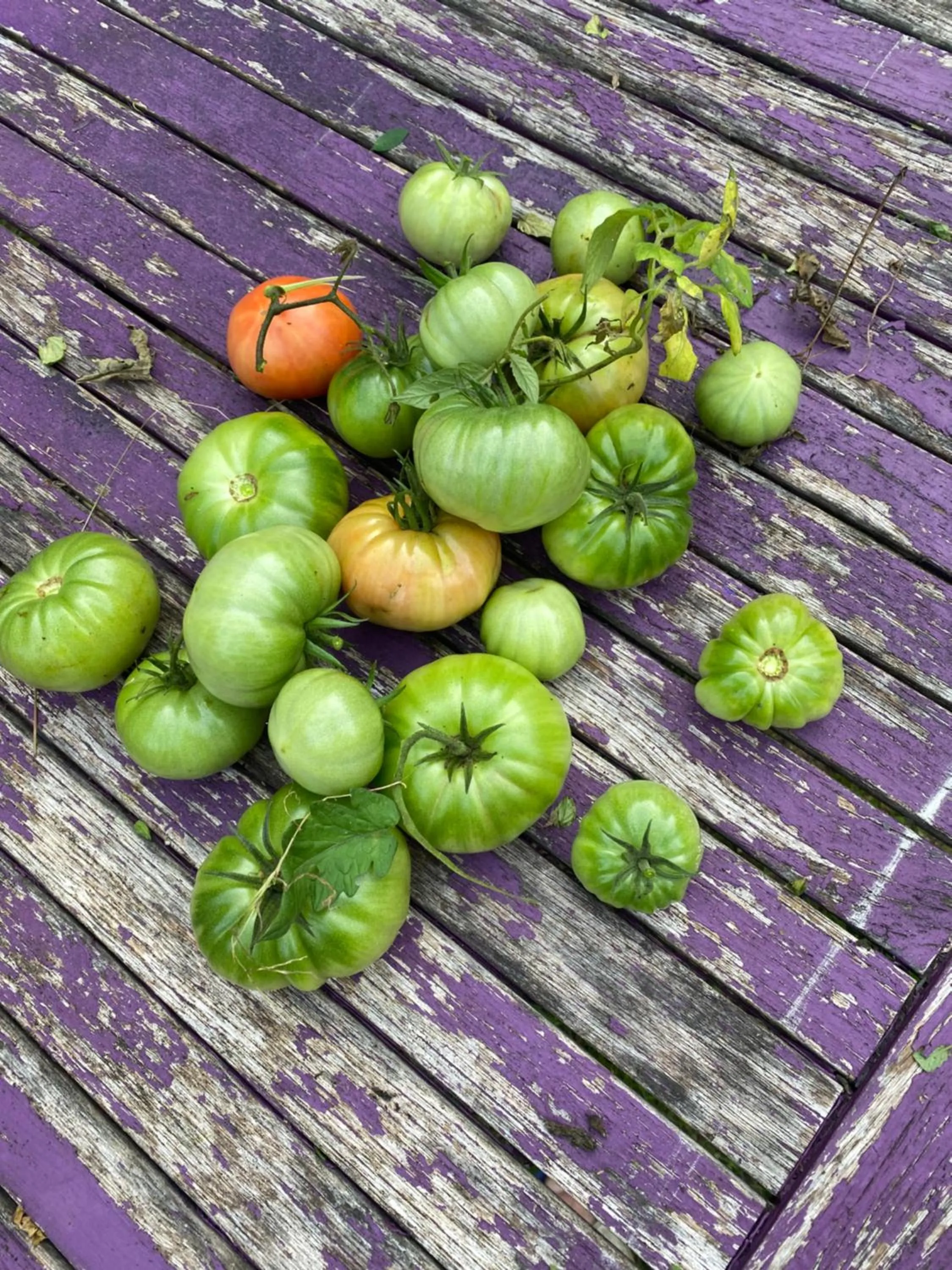 Food in Logis Hôtel Le Saint Georges