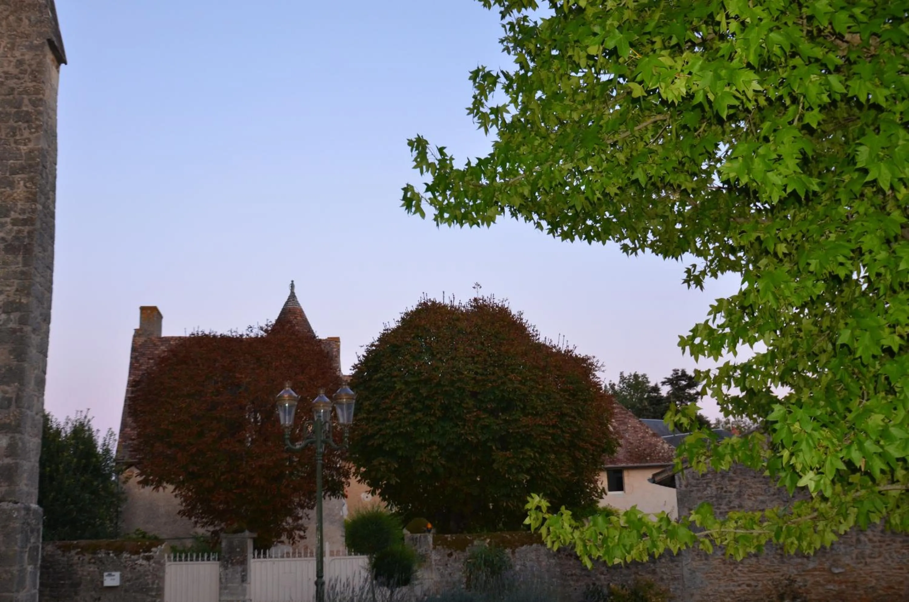 Balcony/Terrace in Logis Hôtel Le Saint Georges