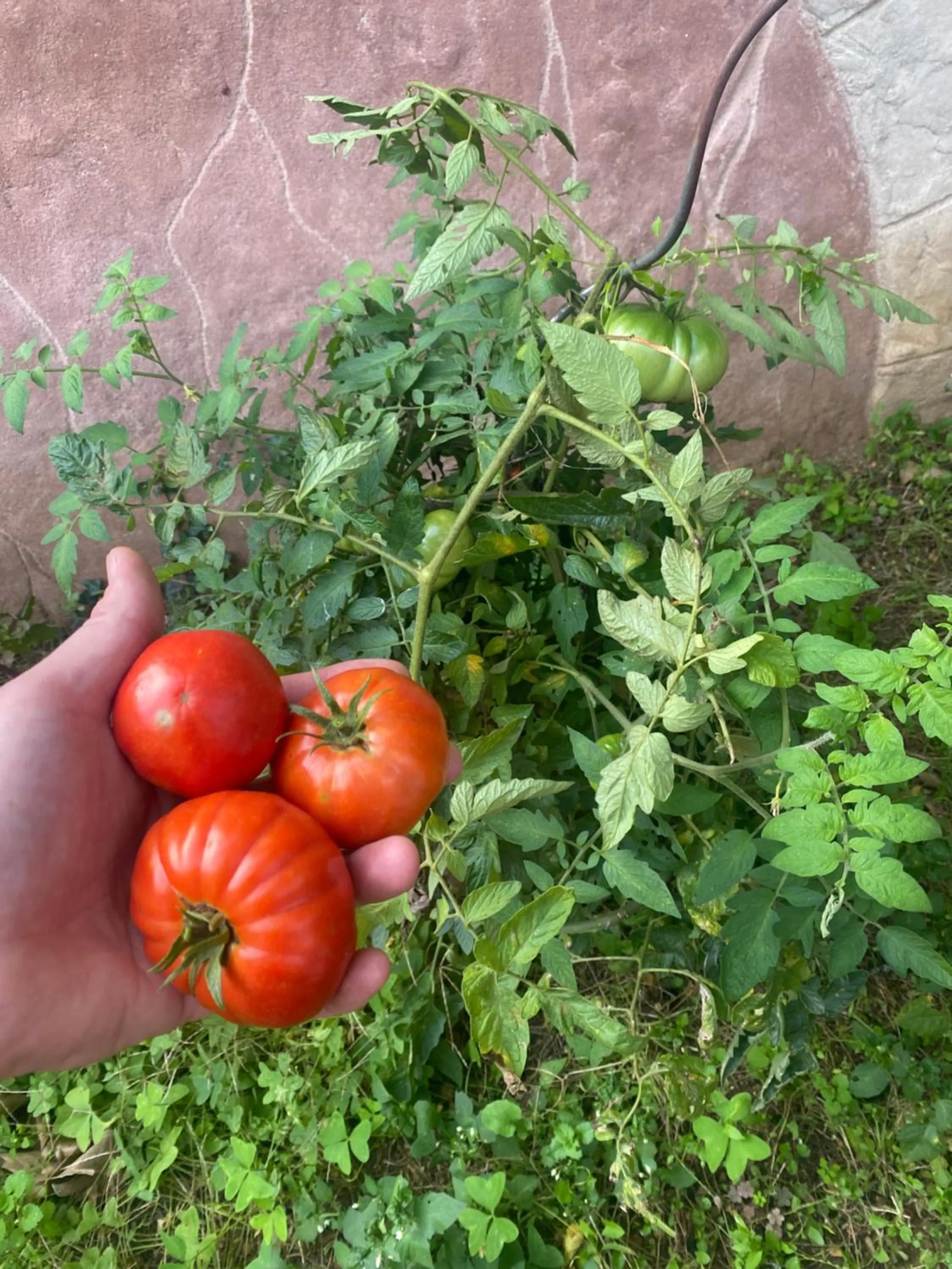 Logis Hôtel Le Saint Georges