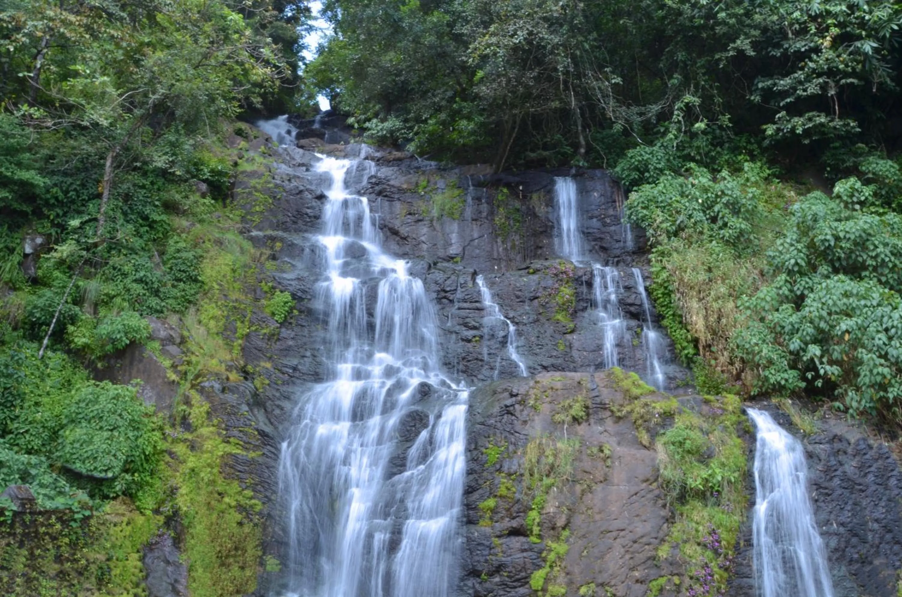 Natural landscape in Spice Grove