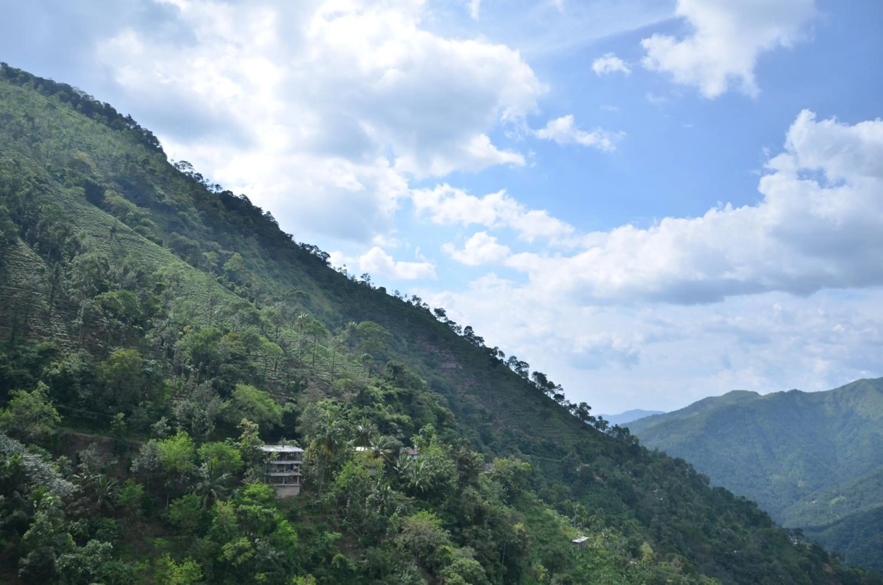 Natural landscape in Spice Grove