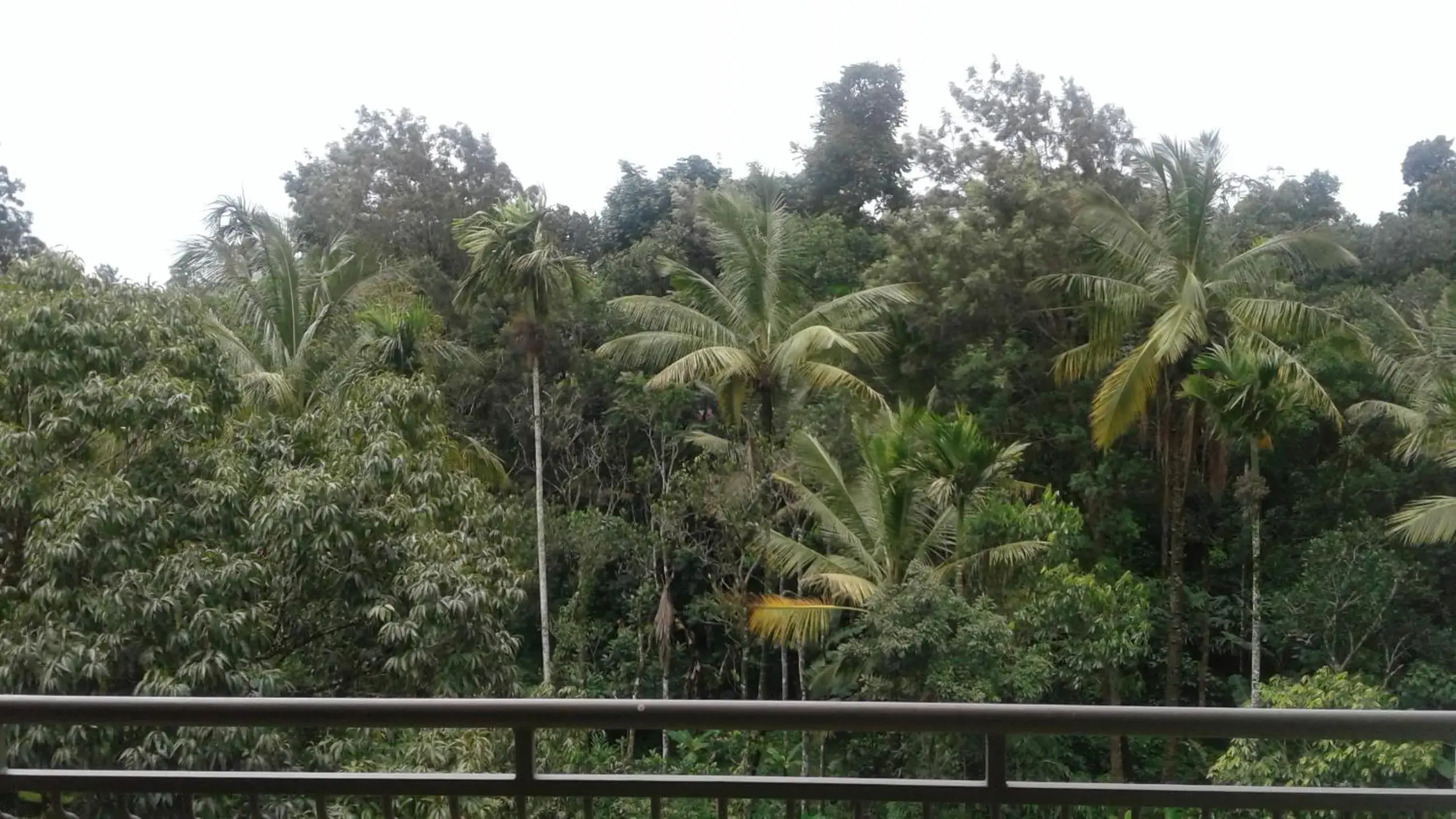 Premium Room in Spice Grove Premium Room in Spice Grove