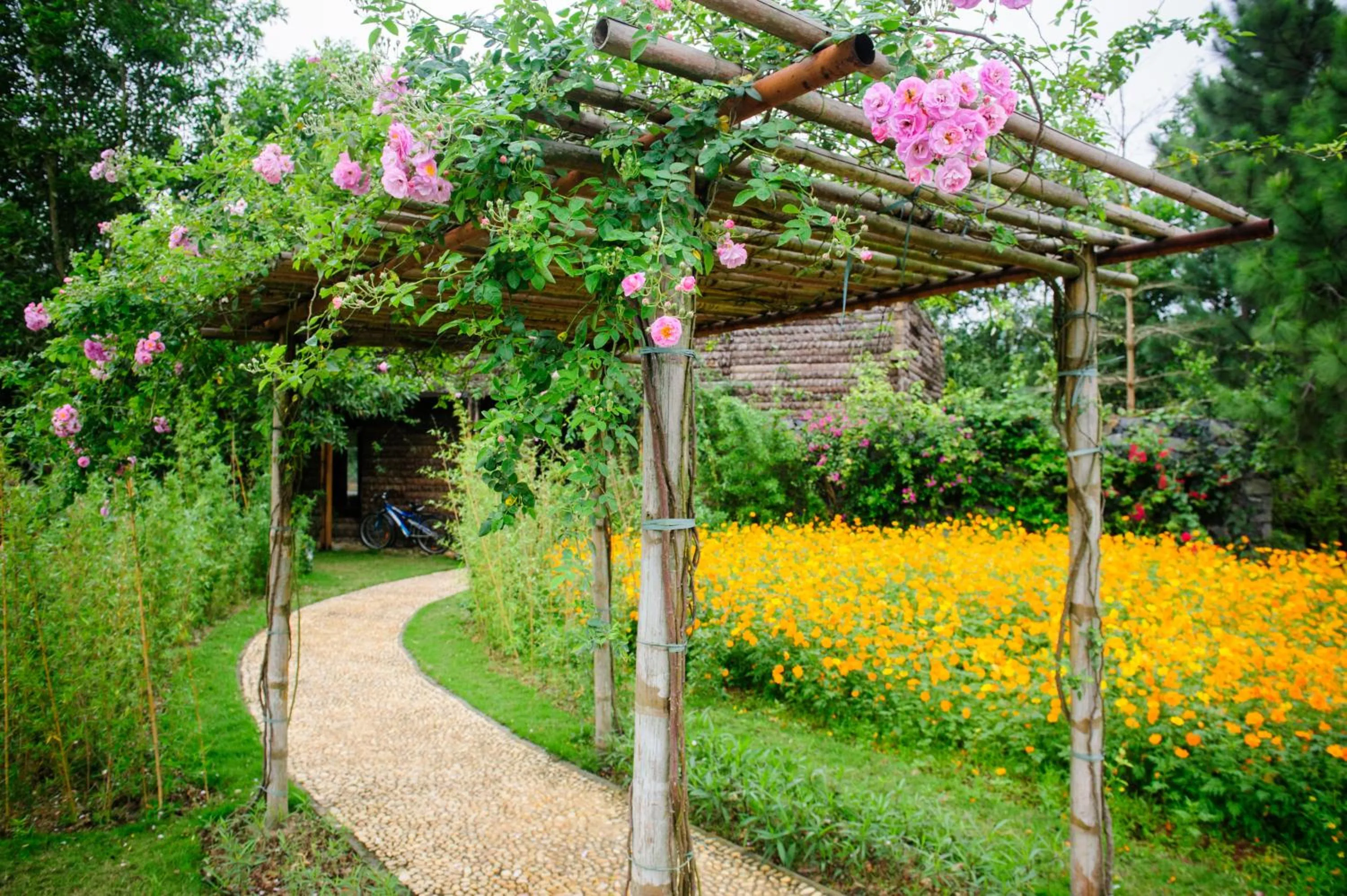 Garden in Flamingo Dai Lai Resort