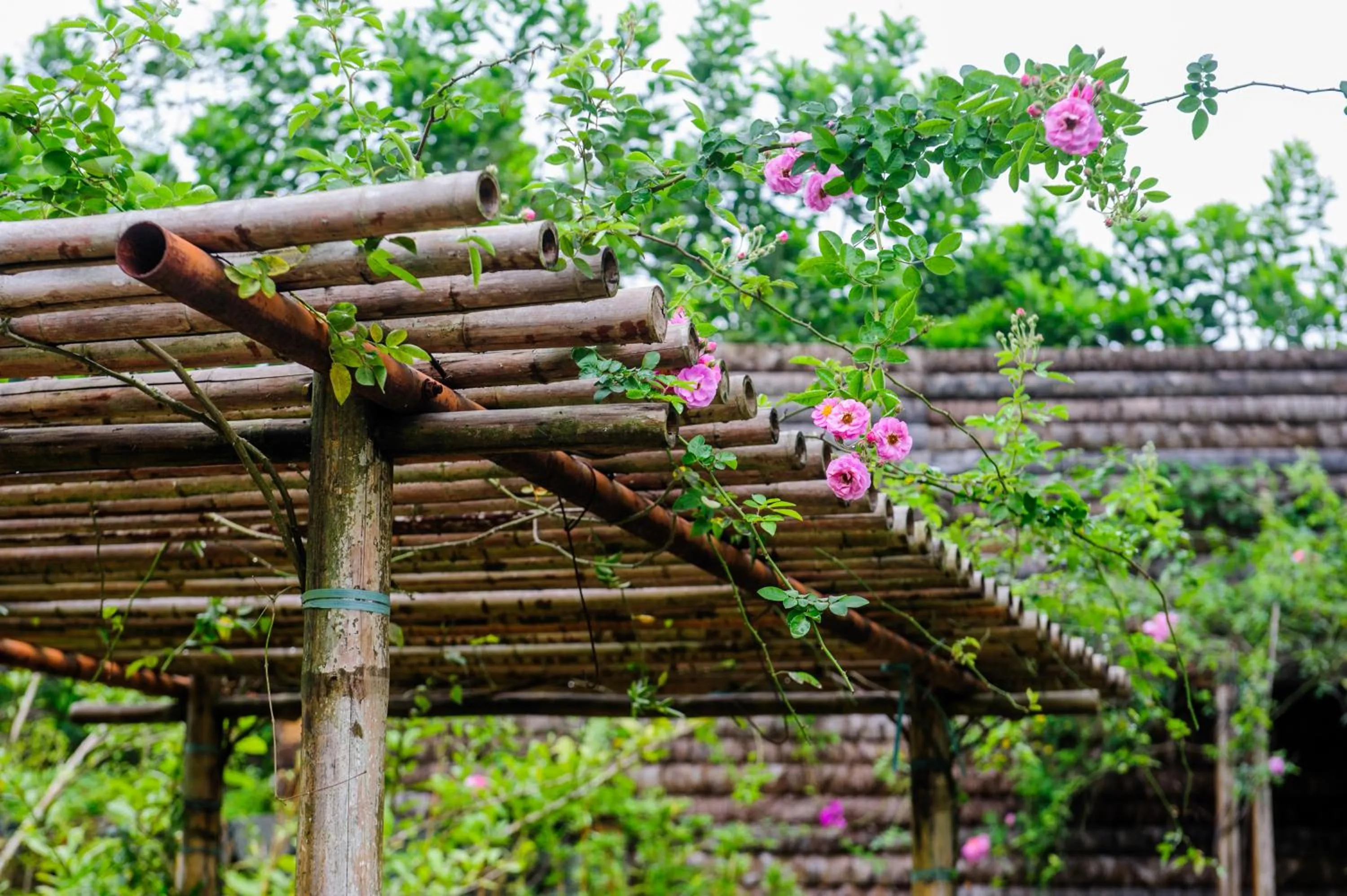 Decorative detail in Flamingo Dai Lai Resort