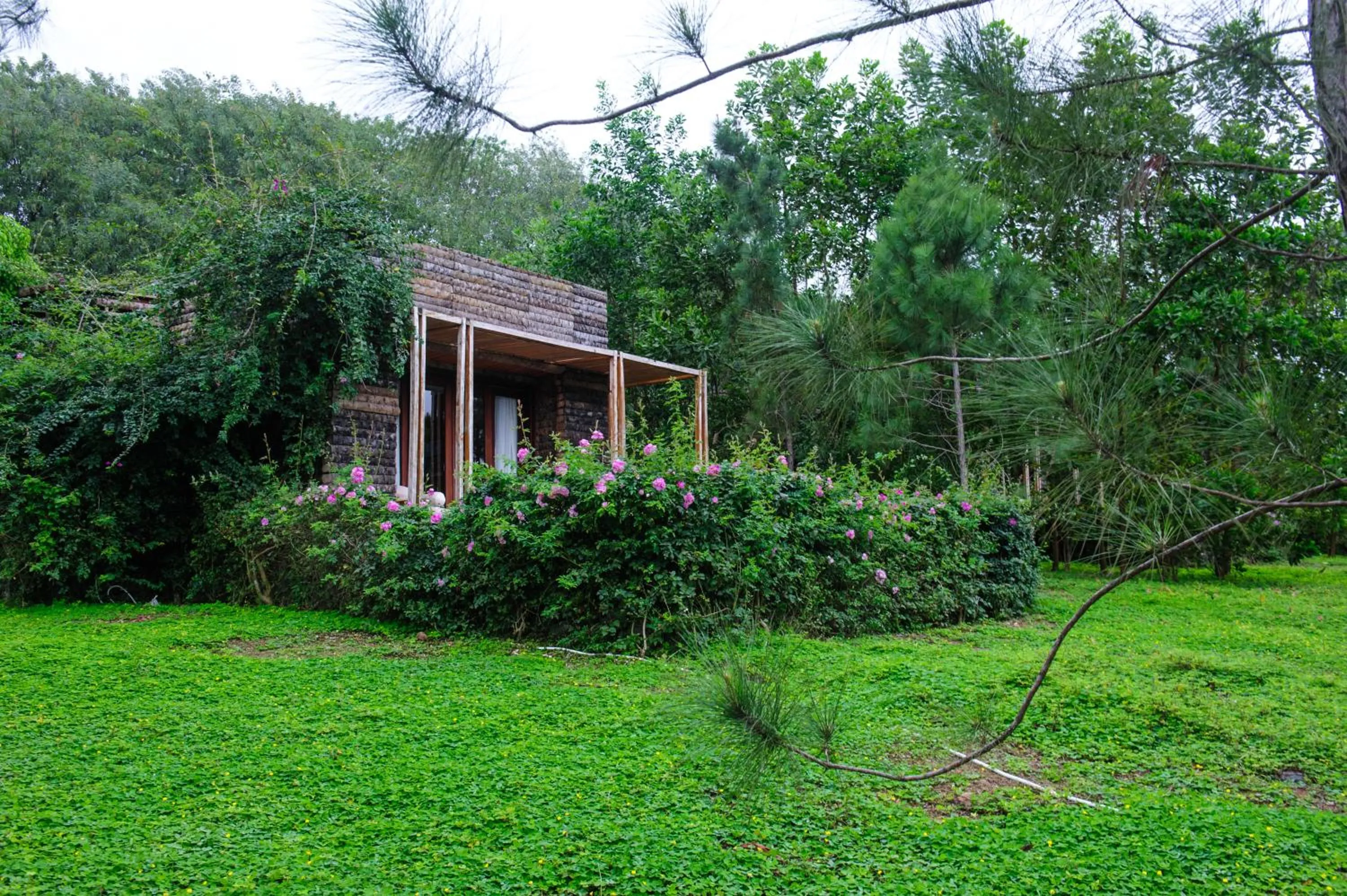 Property building, Garden in Flamingo Dai Lai Resort