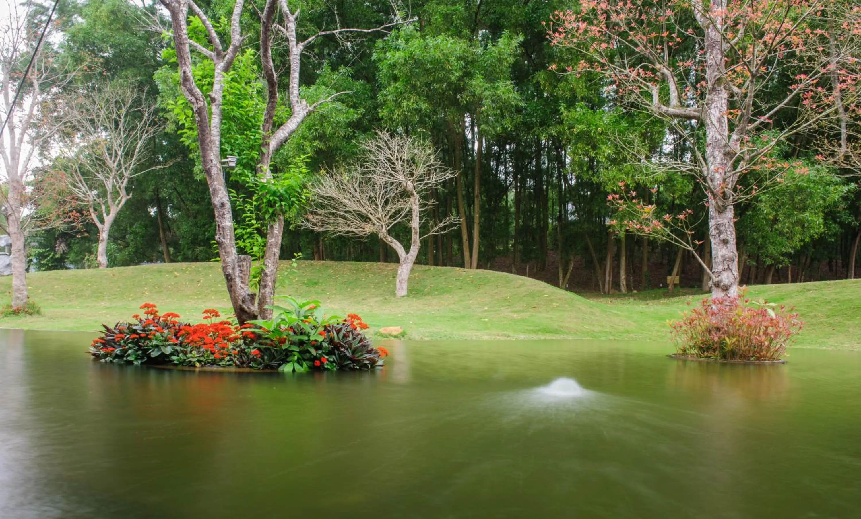 Natural landscape, Garden in Flamingo Dai Lai Resort