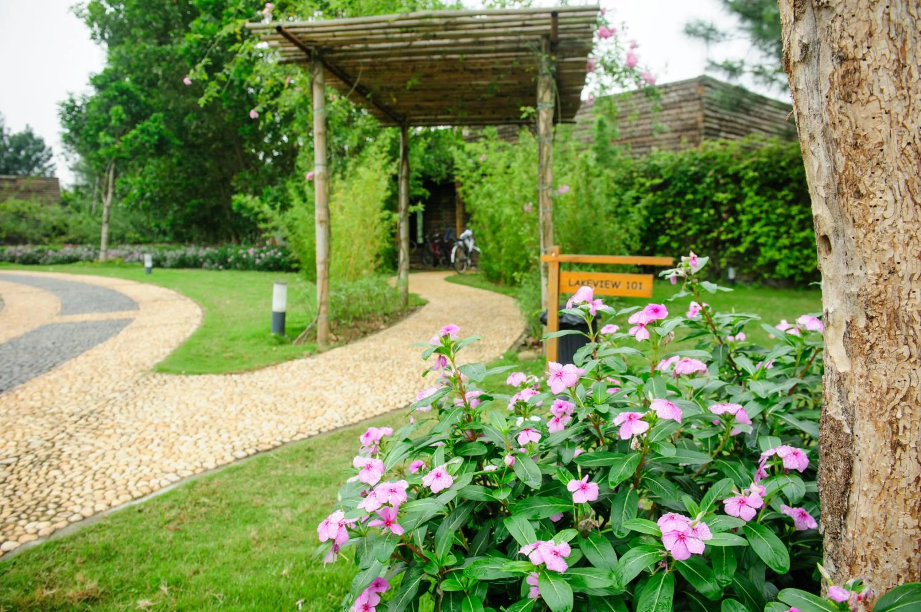 Garden in Flamingo Dai Lai Resort
