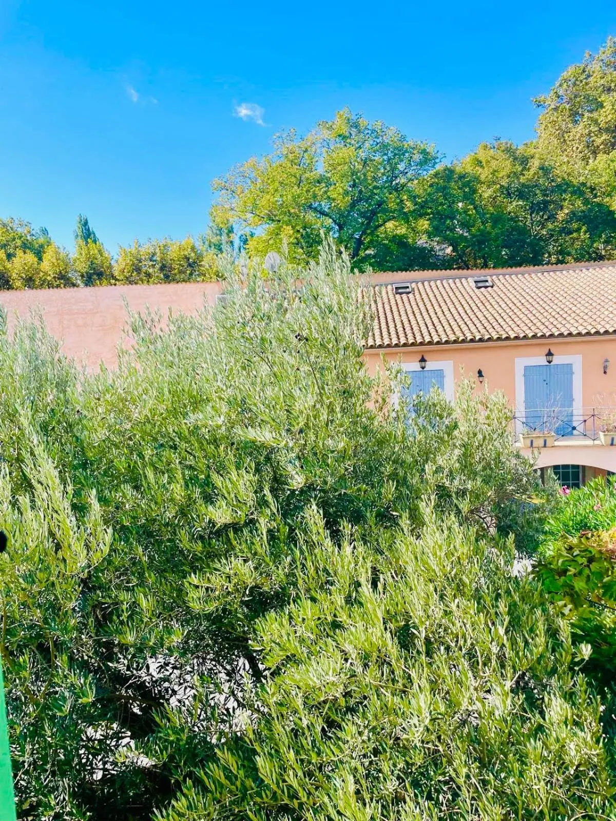 Logis hôtel et restaurant La Bastide Cabezac